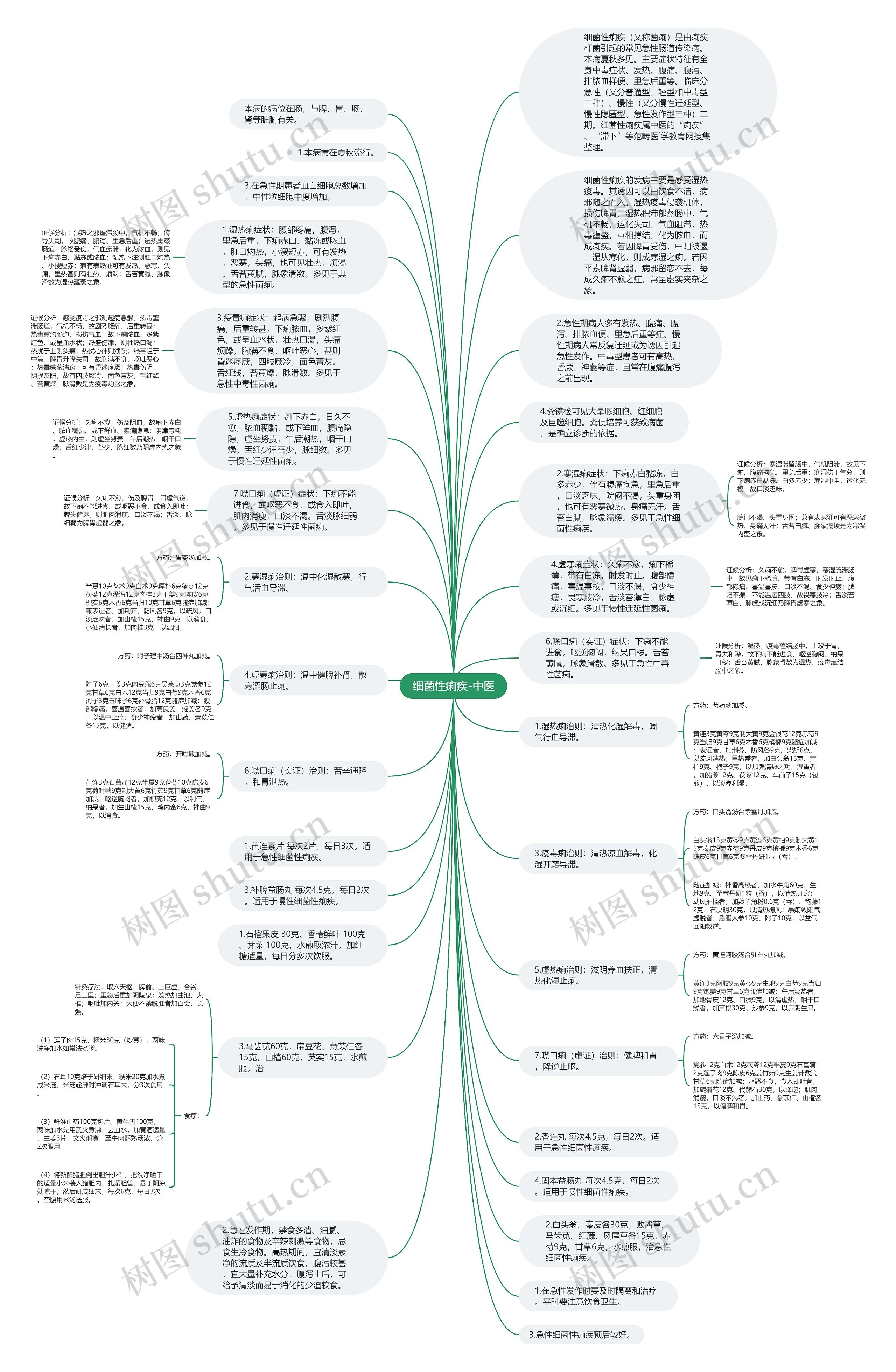 细菌性痢疾-中医思维导图