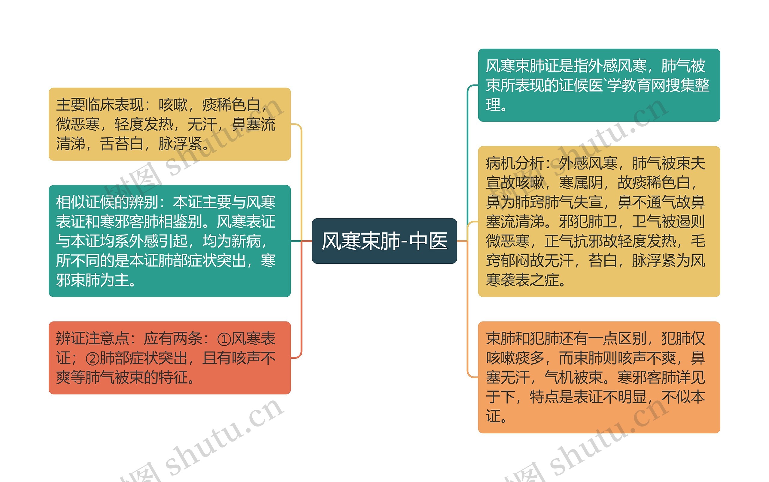 风寒束肺-中医思维导图