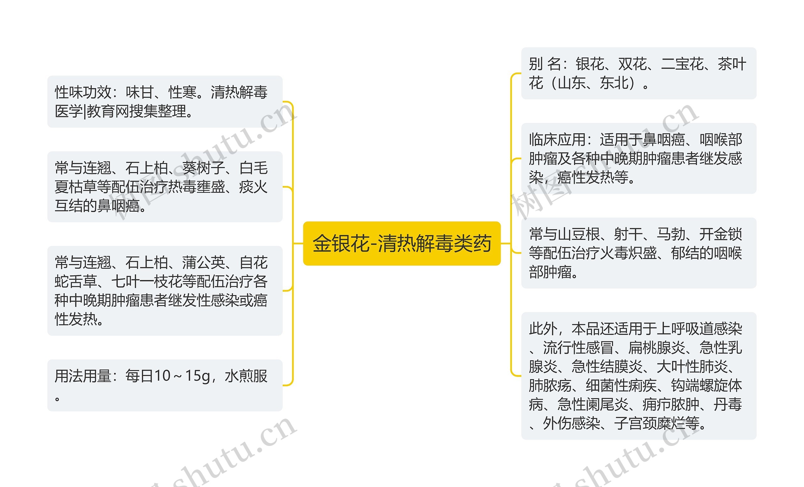 金银花-清热解毒类药