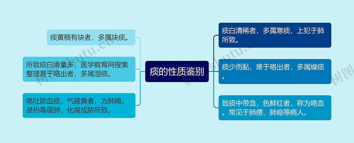 痰的性质鉴别思维导图_编号p7011459-TreeMind树图