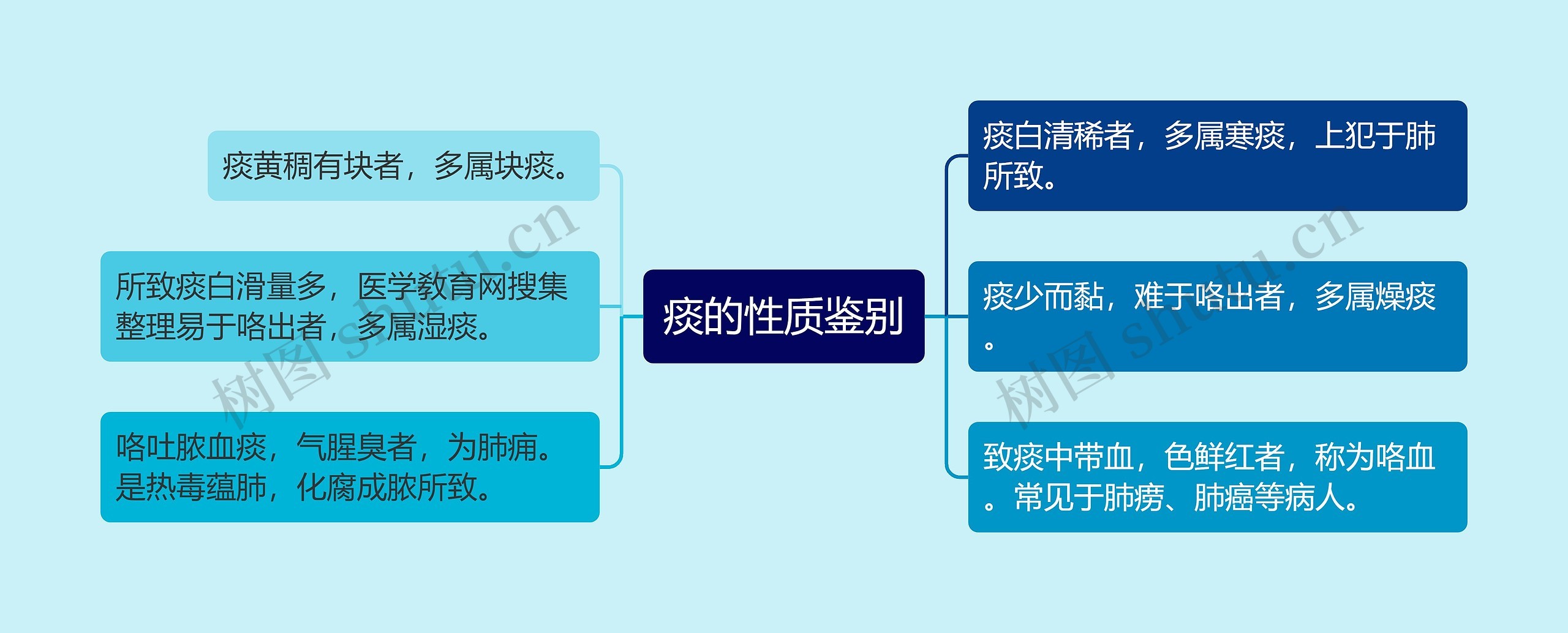 痰的性质鉴别思维导图