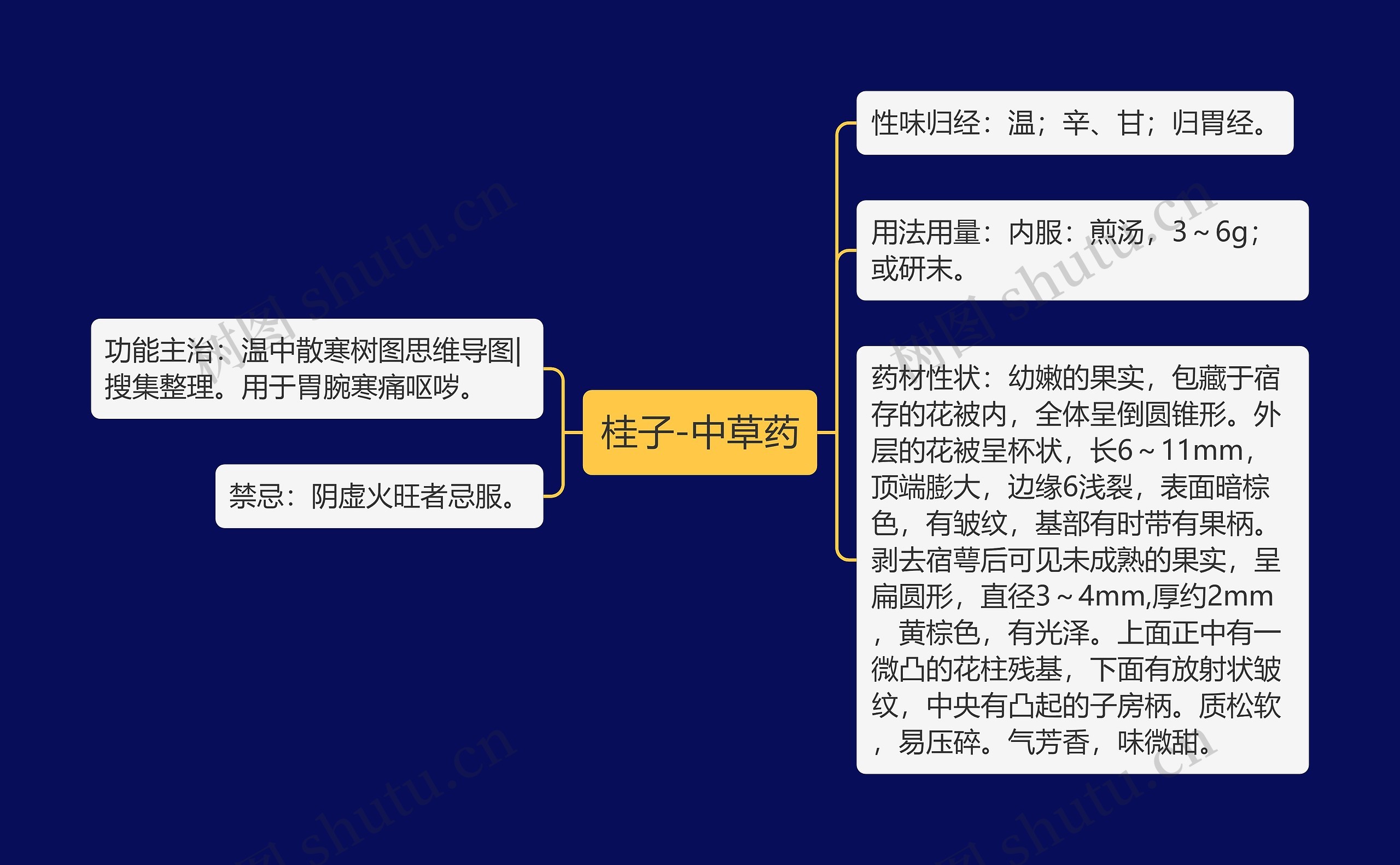 桂子-中草药思维导图