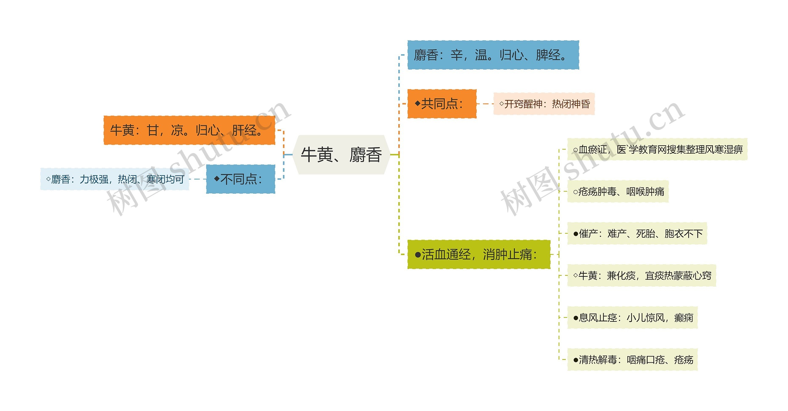 牛黄、麝香思维导图