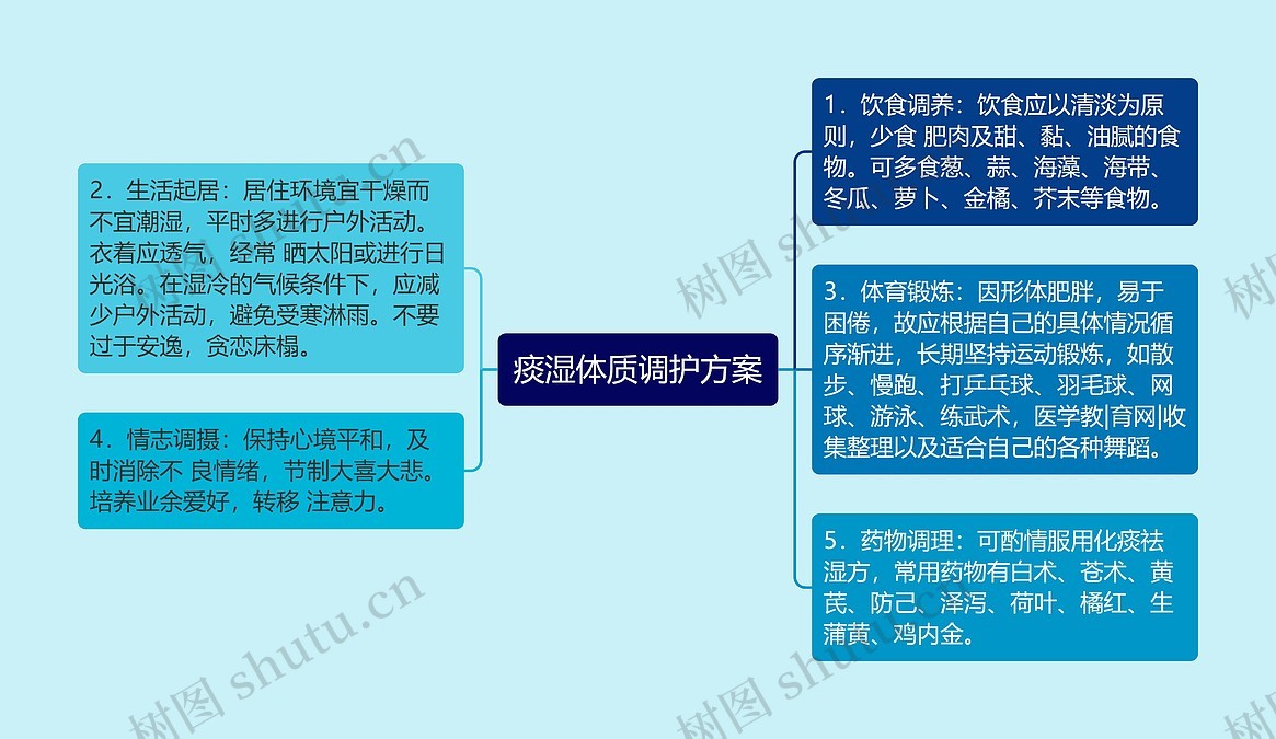 痰湿体质调护方案思维导图_编号p7003539-TreeMind树图