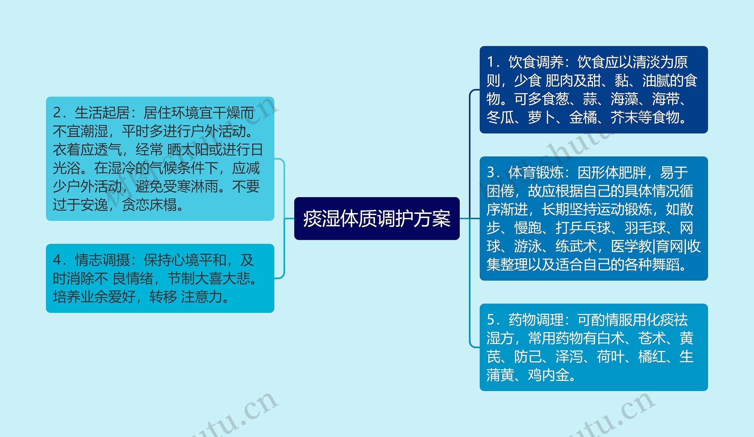 痰湿体质调护方案思维导图