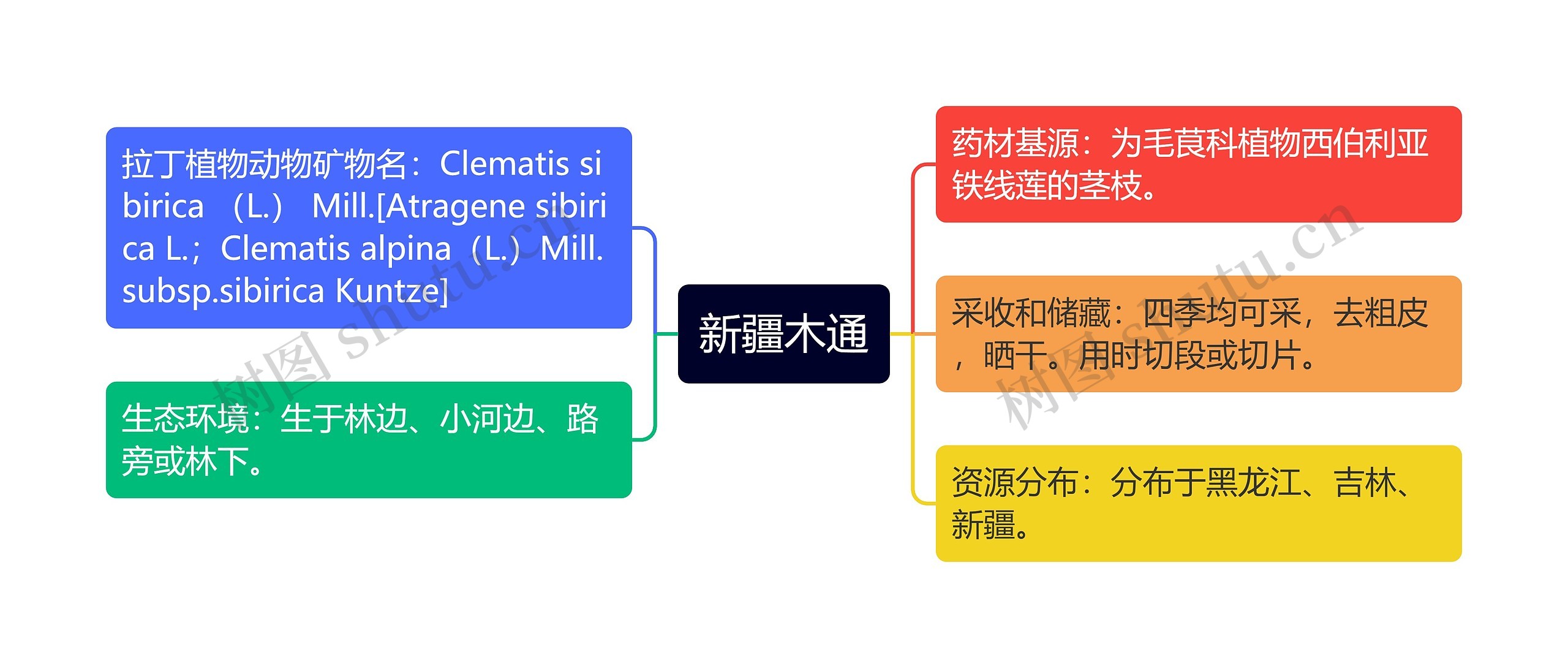 新疆木通思维导图