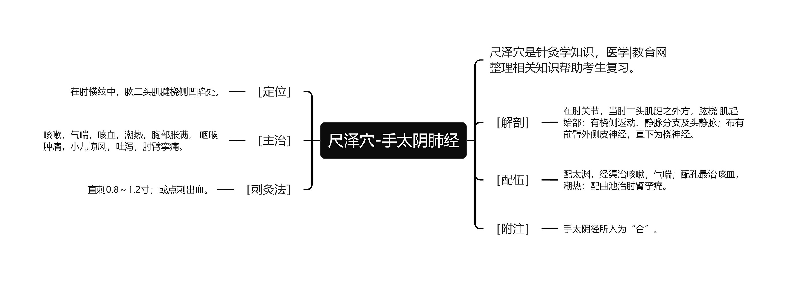 尺泽穴-手太阴肺经思维导图