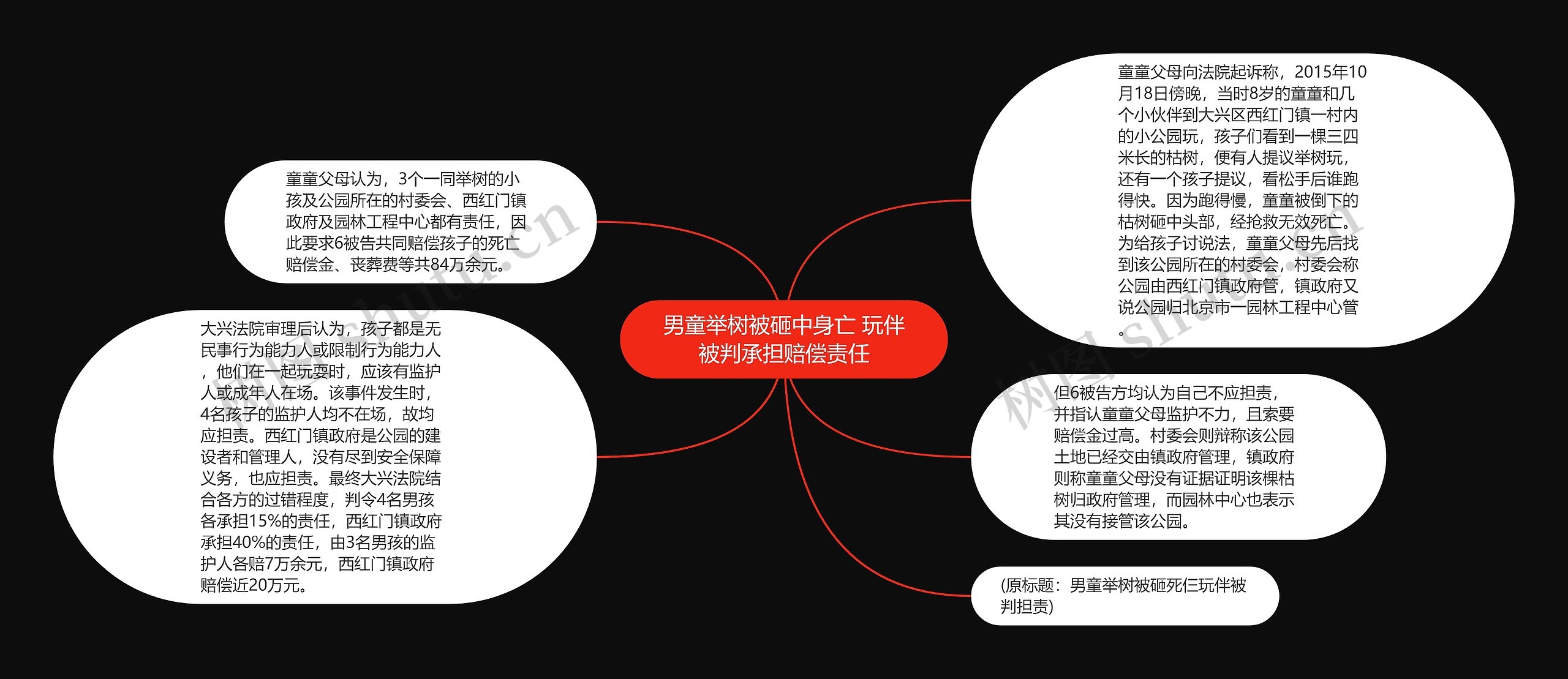 男童举树被砸中身亡 玩伴被判承担赔偿责任思维导图