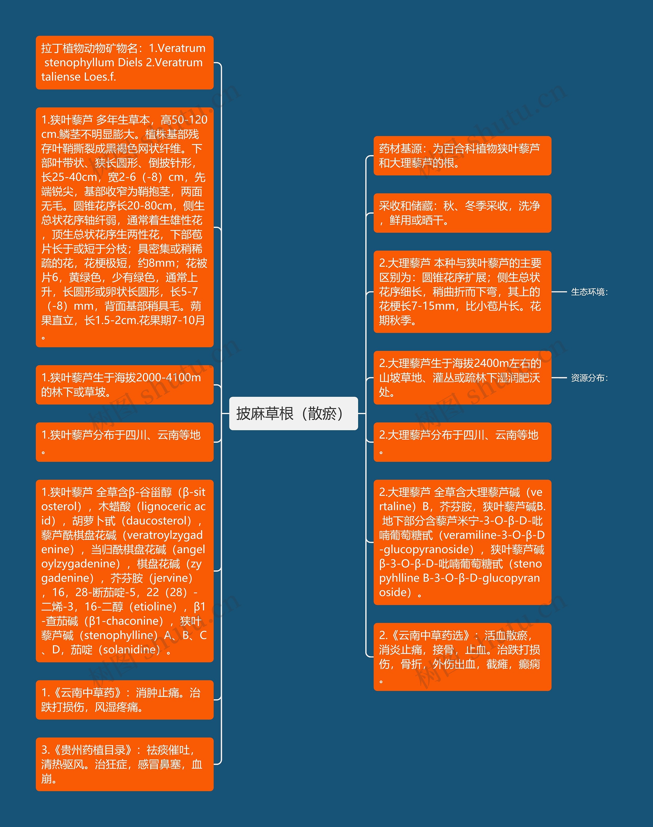 披麻草根（散瘀）思维导图