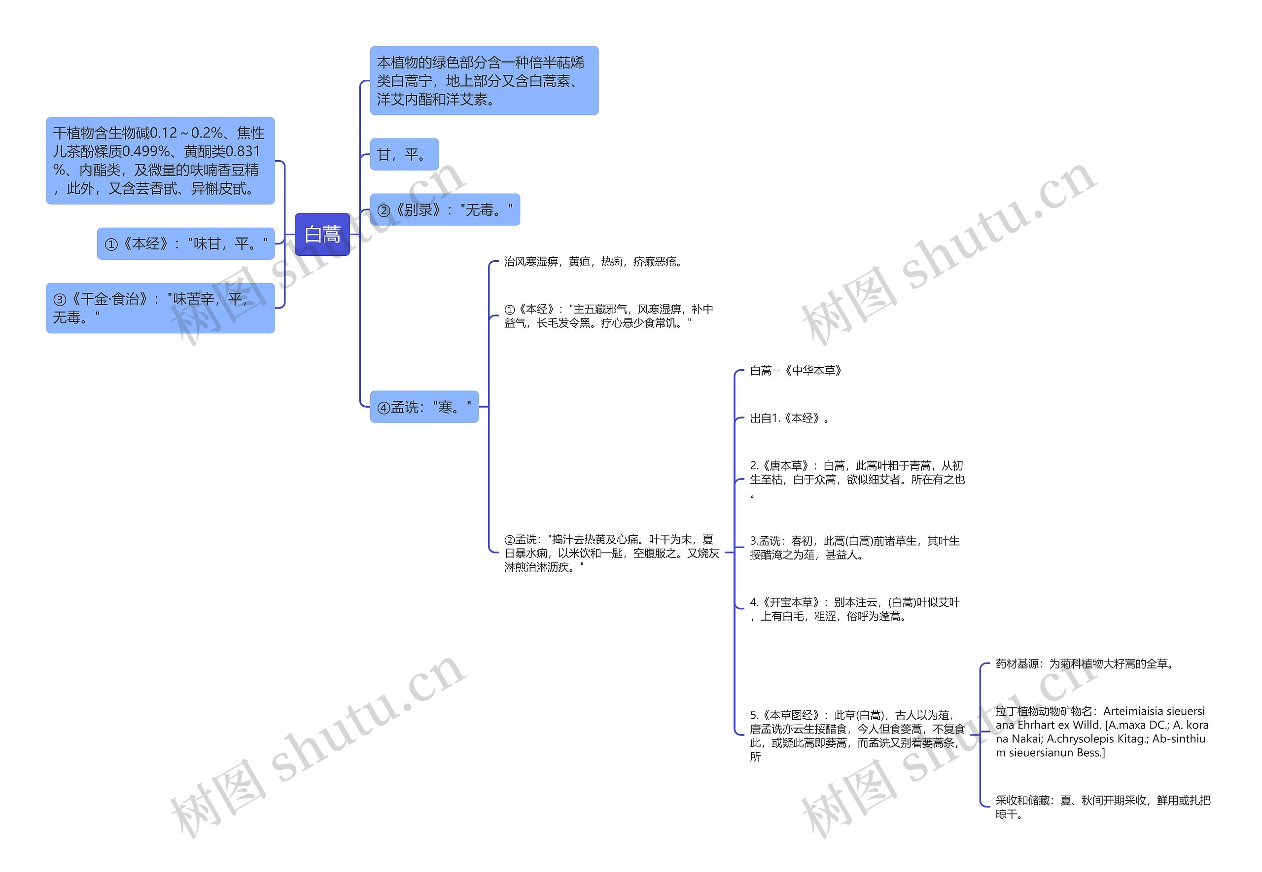 白蒿思维导图