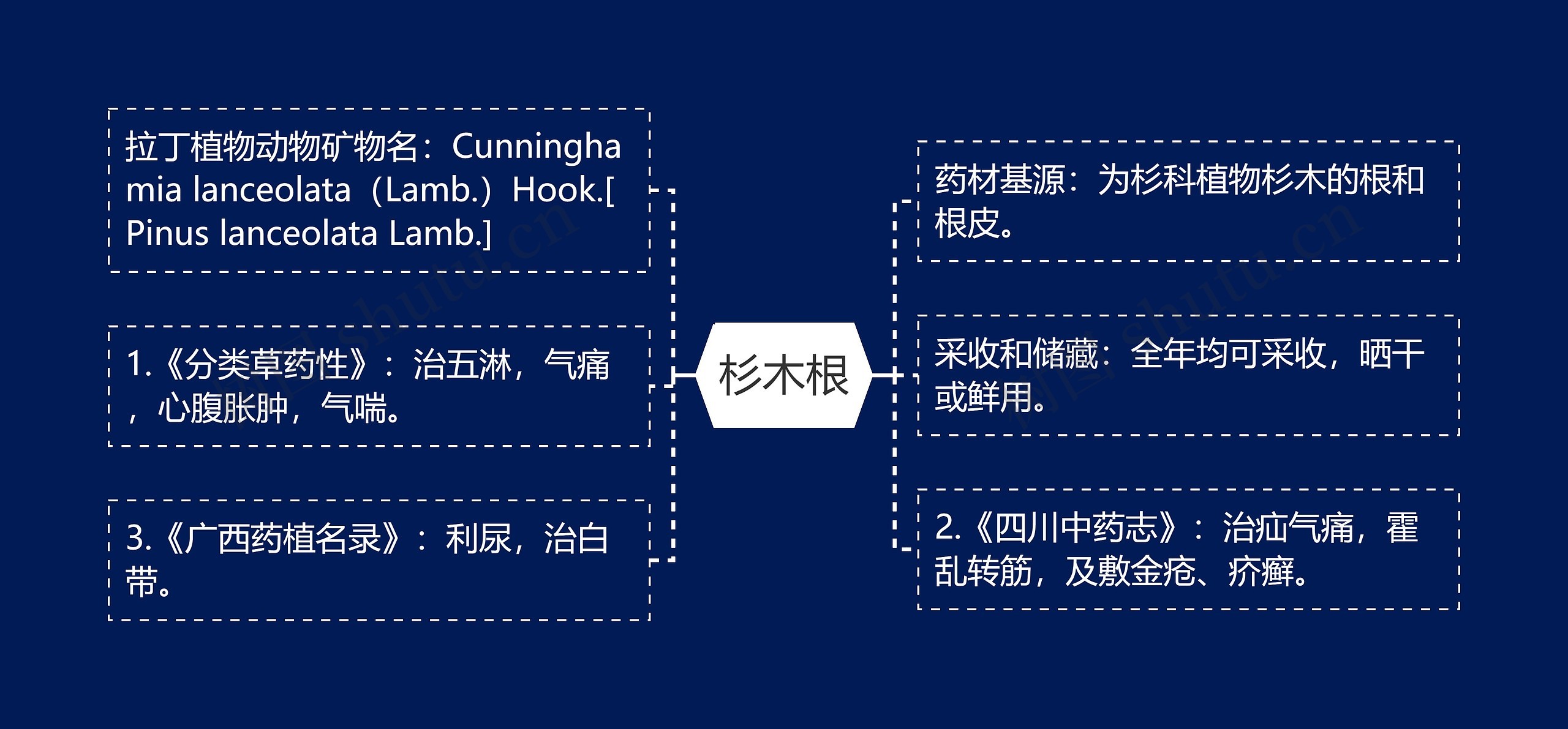 杉木根思维导图