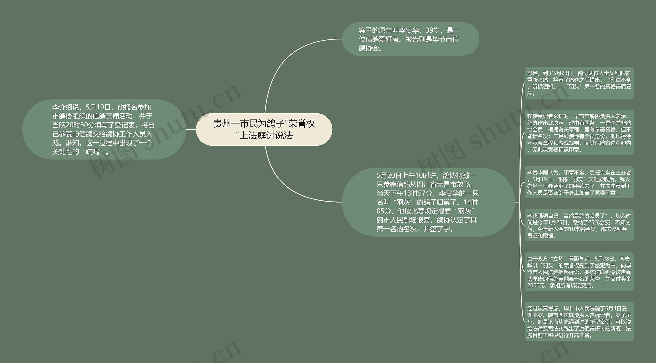 贵州一市民为鸽子"荣誉权"上法庭讨说法思维导图