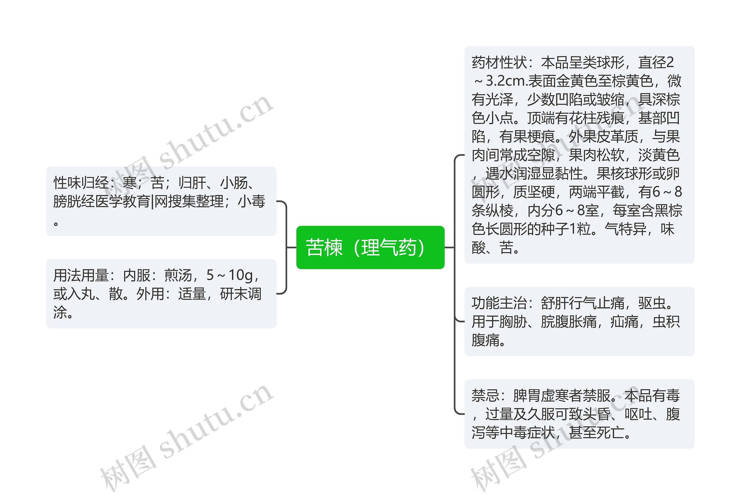 苦楝(理气药) 苦楝(理气药)