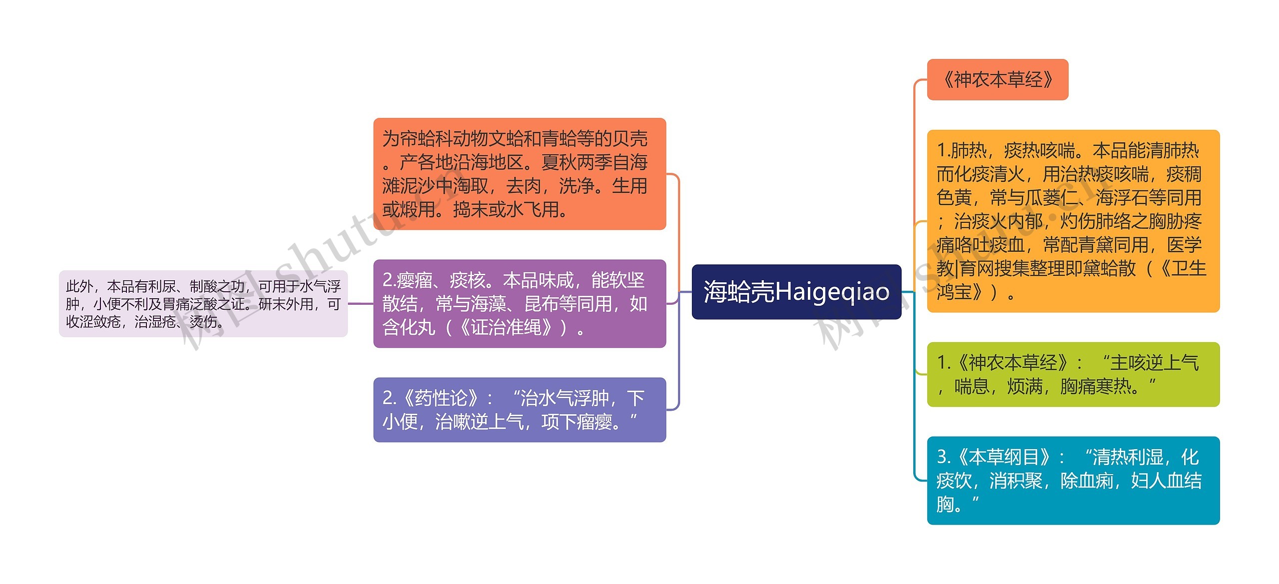 海蛤壳Haigeqiao思维导图