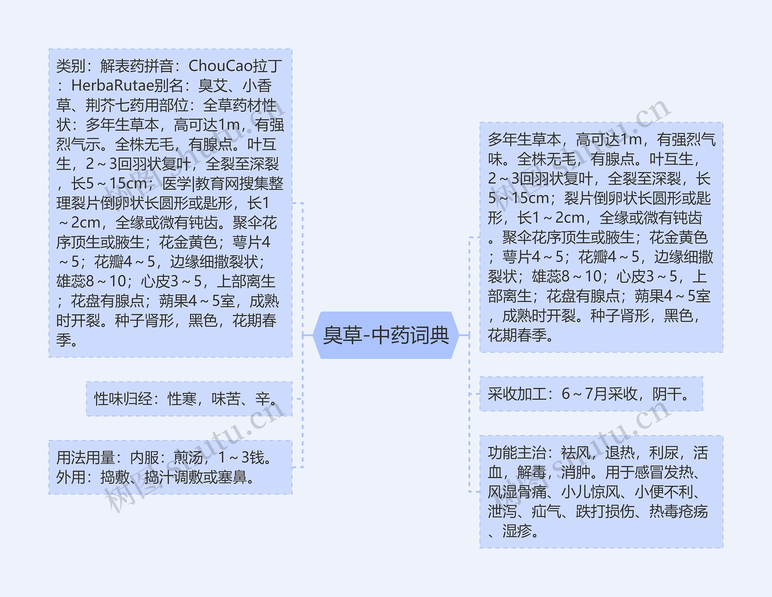 臭草-中药词典思维导图