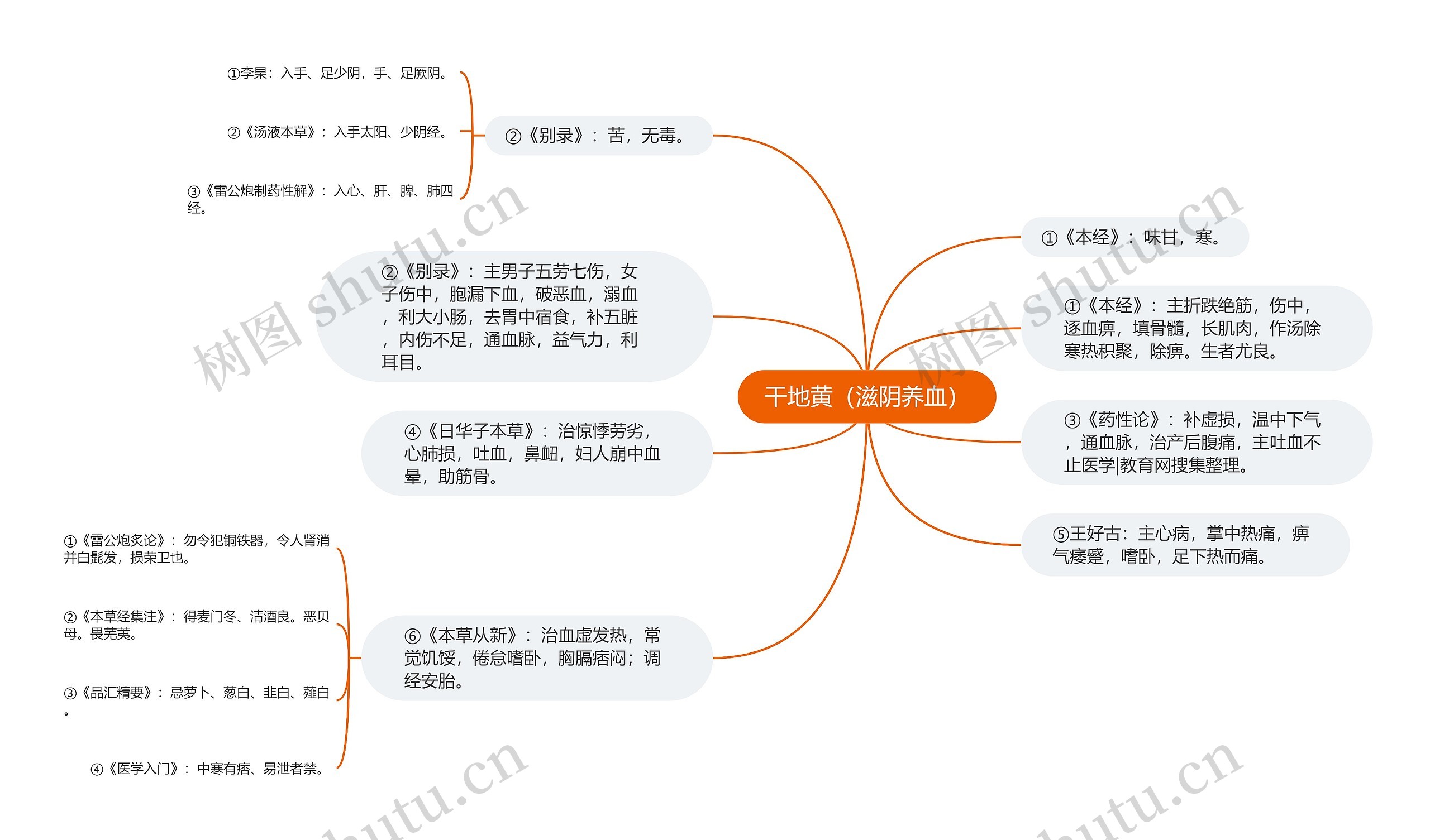 干地黄（滋阴养血）思维导图