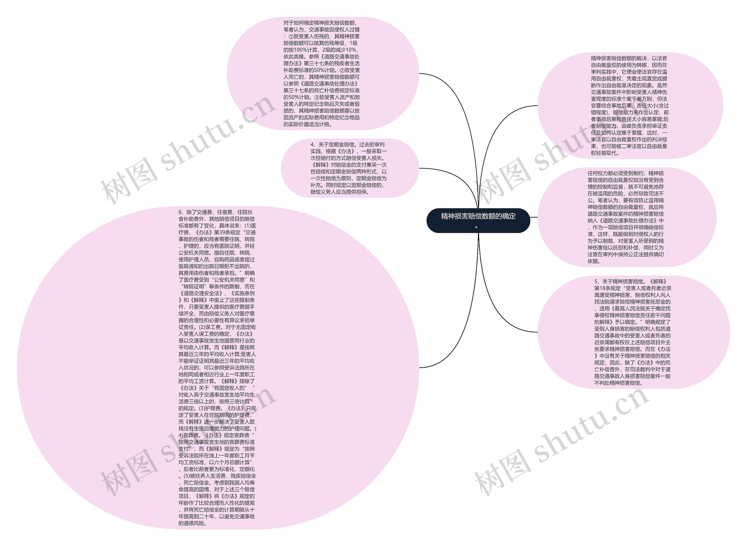 精神损害赔偿数额的确定。思维导图