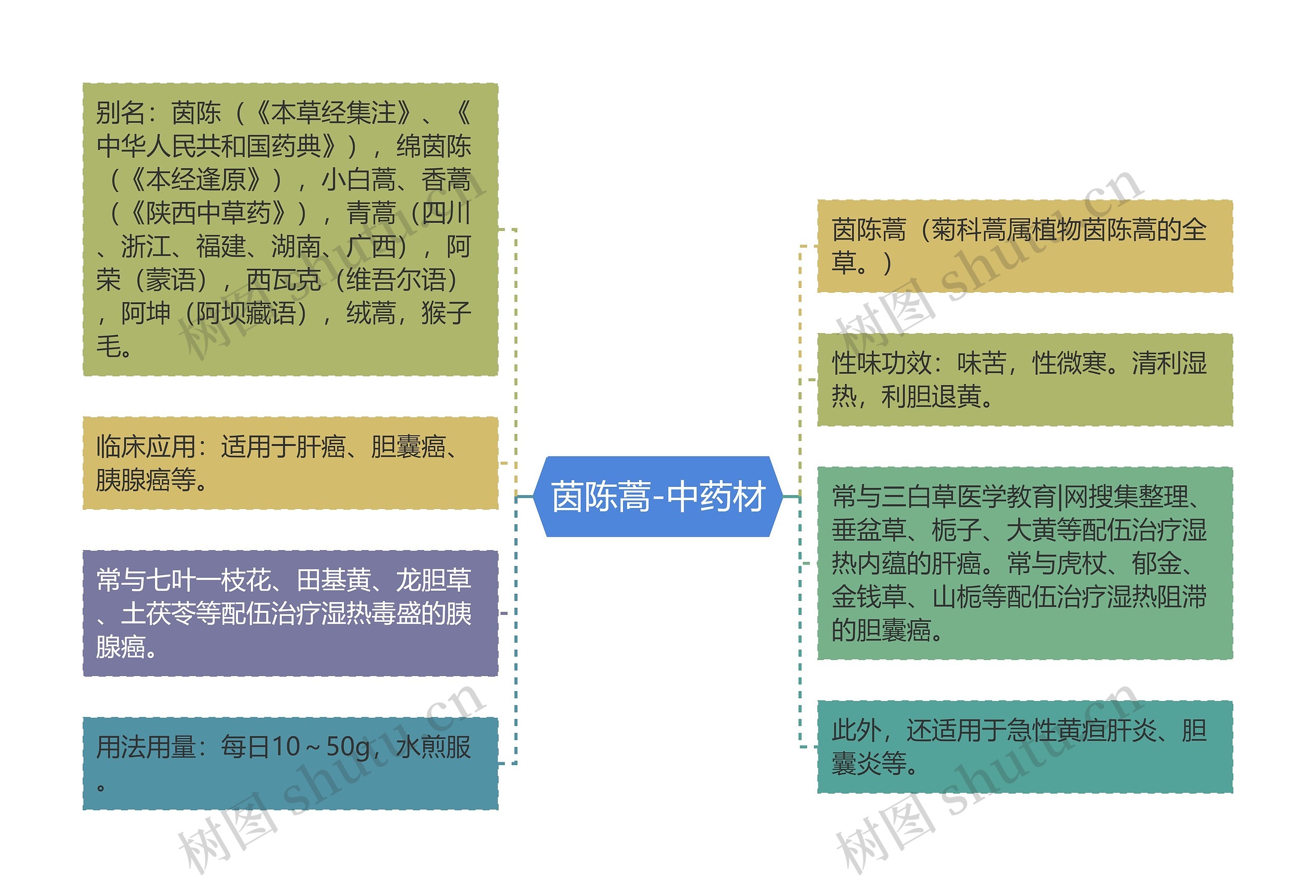 茵陈蒿-中药材思维导图