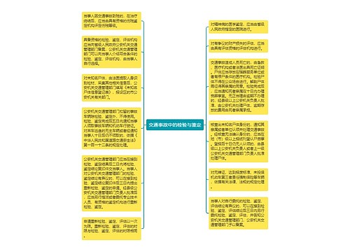 交通事故中的检验与鉴定