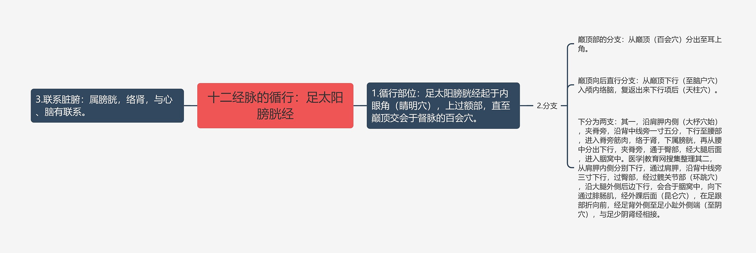 十二经脉的循行:足太阳膀胱经 十二经脉的循行:足太阳膀胱经