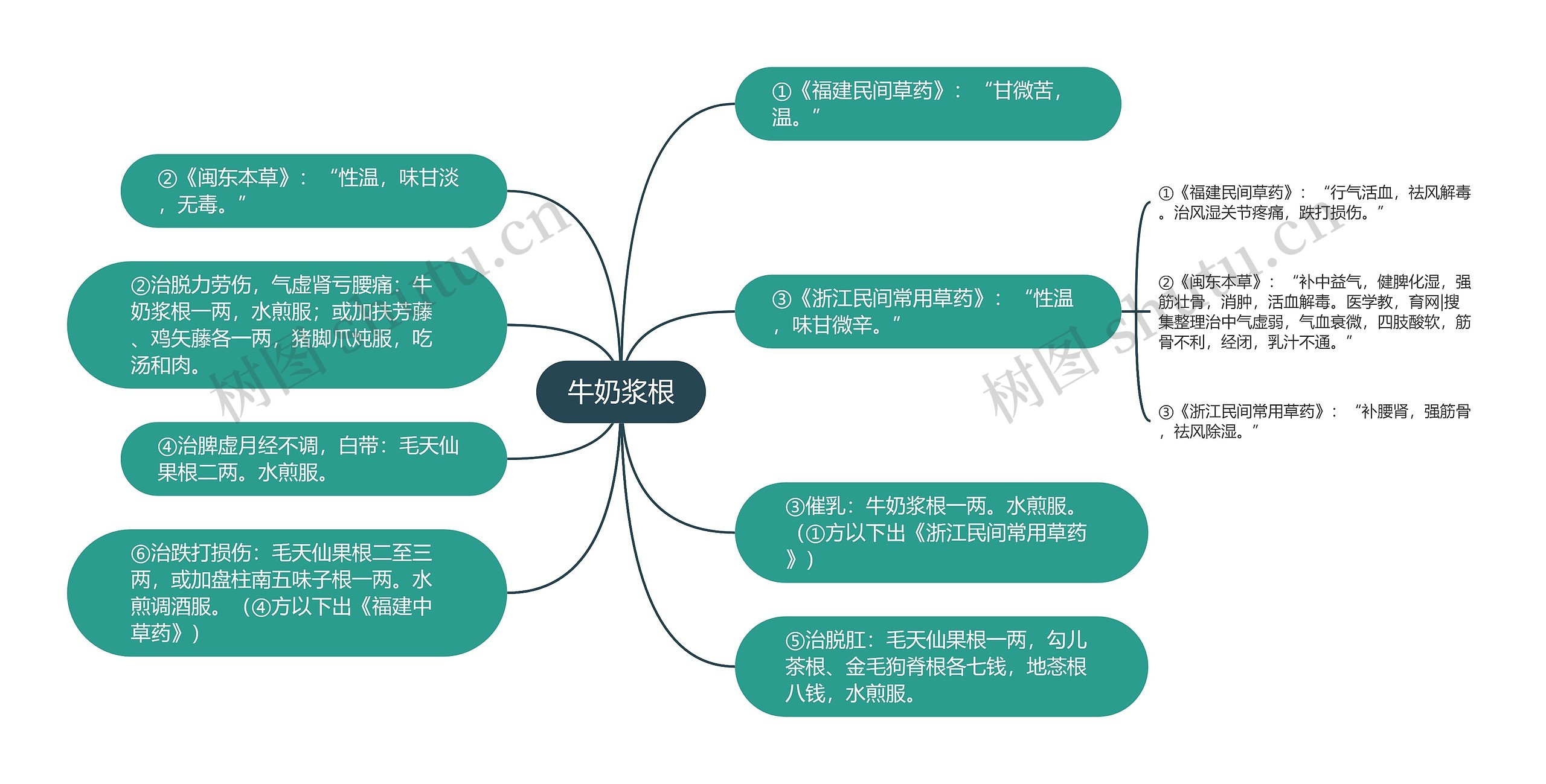 牛奶浆根思维导图