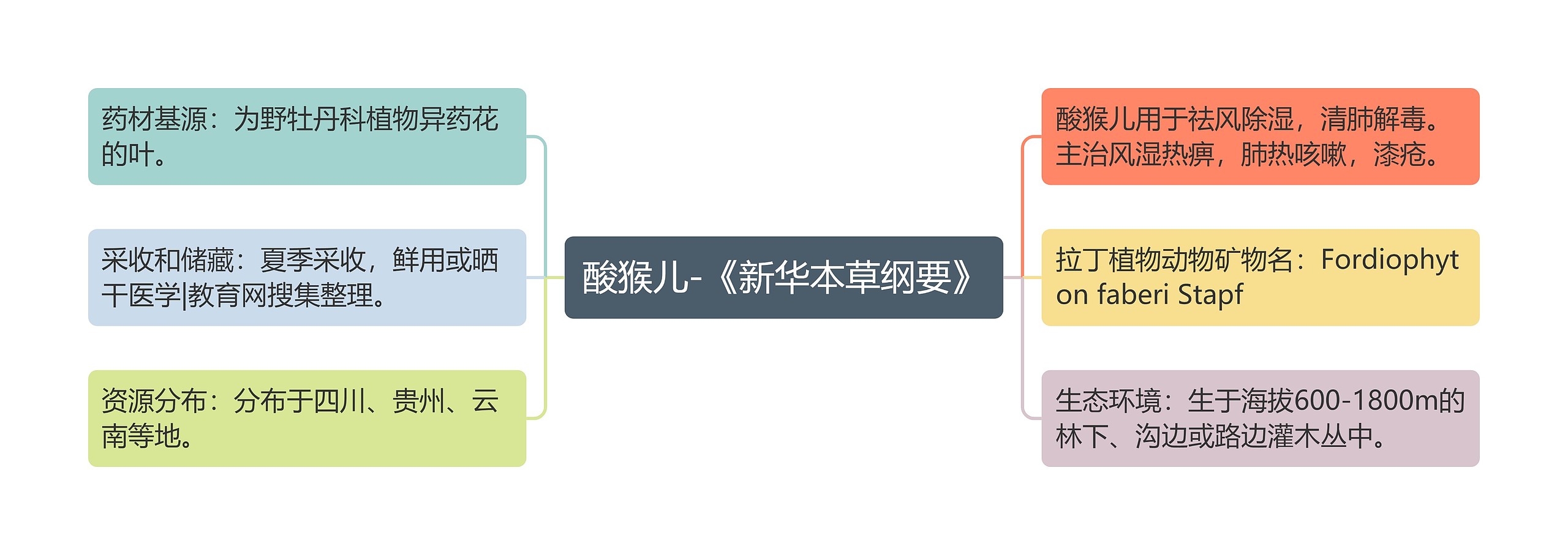 酸猴儿-《新华本草纲要》 酸猴儿-《新华本草纲要》