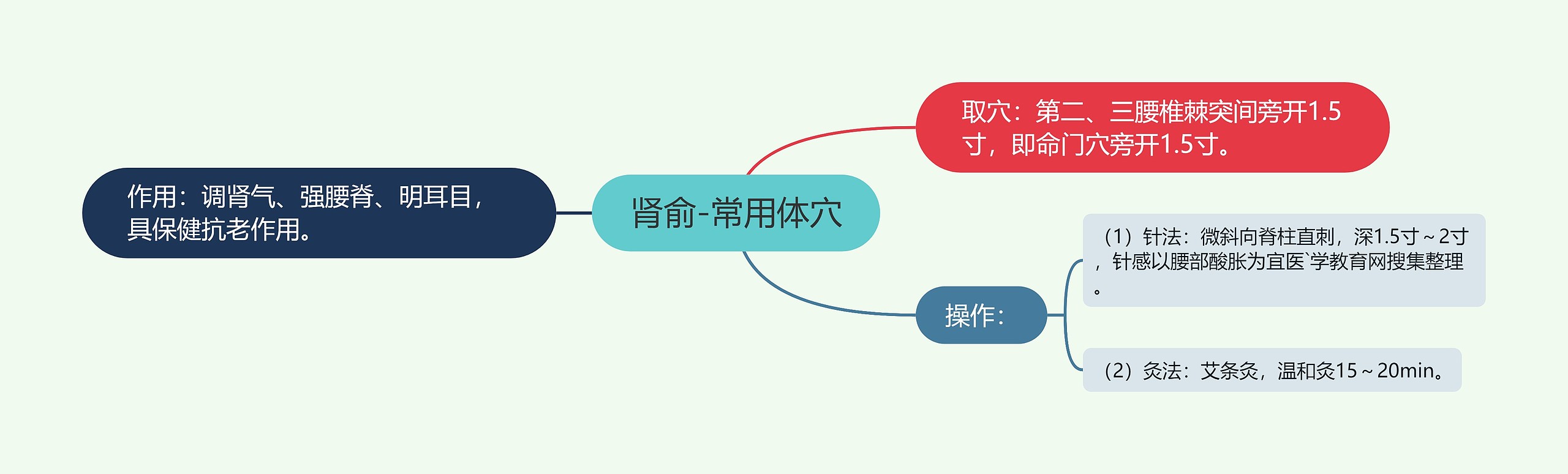 肾俞-常用体穴思维导图