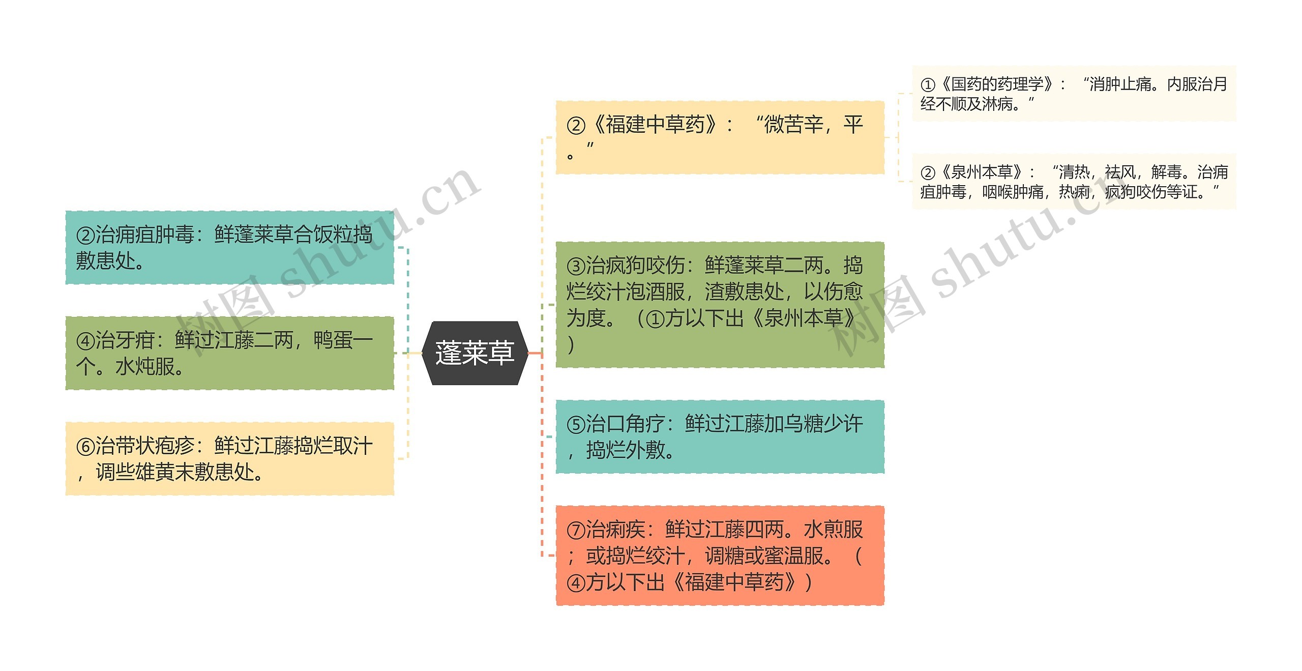 蓬莱草思维导图