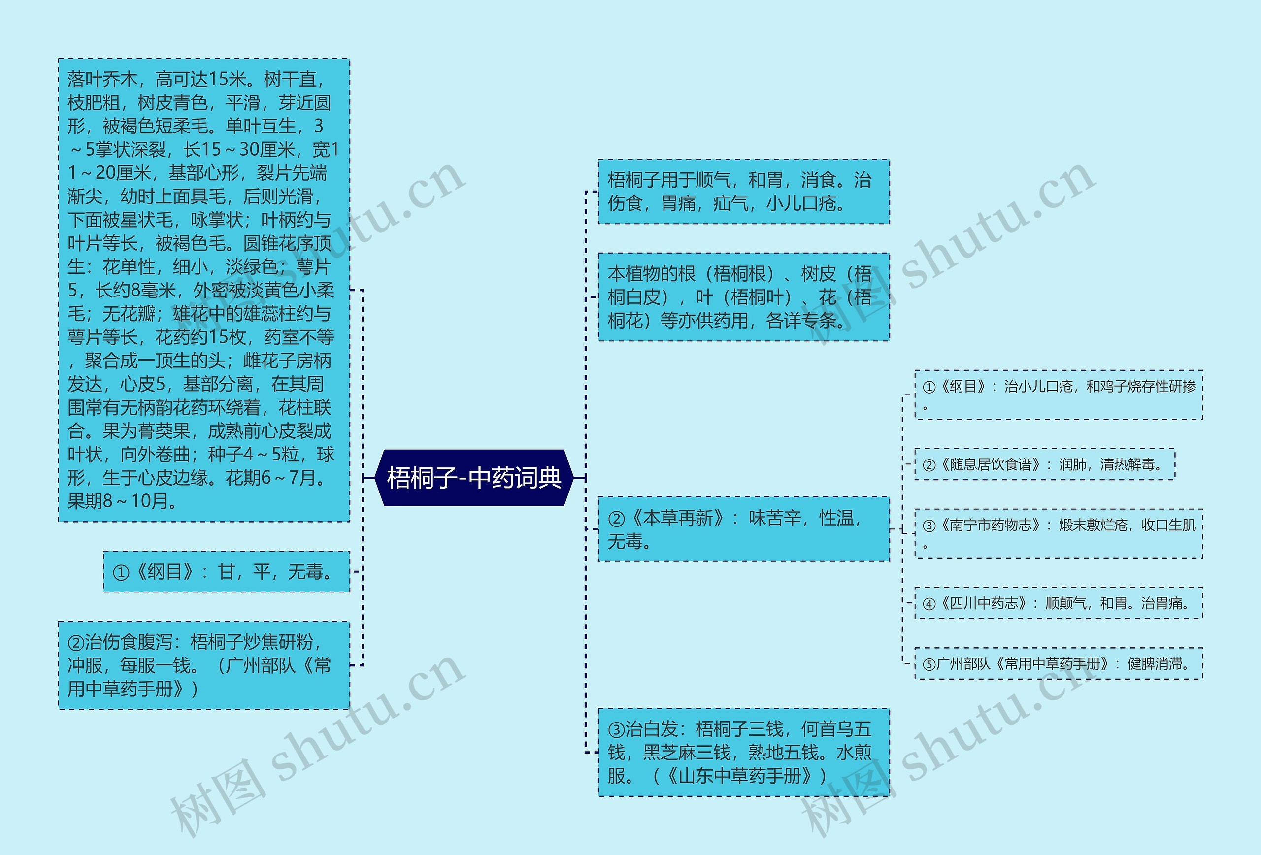 梧桐子-中药词典思维导图
