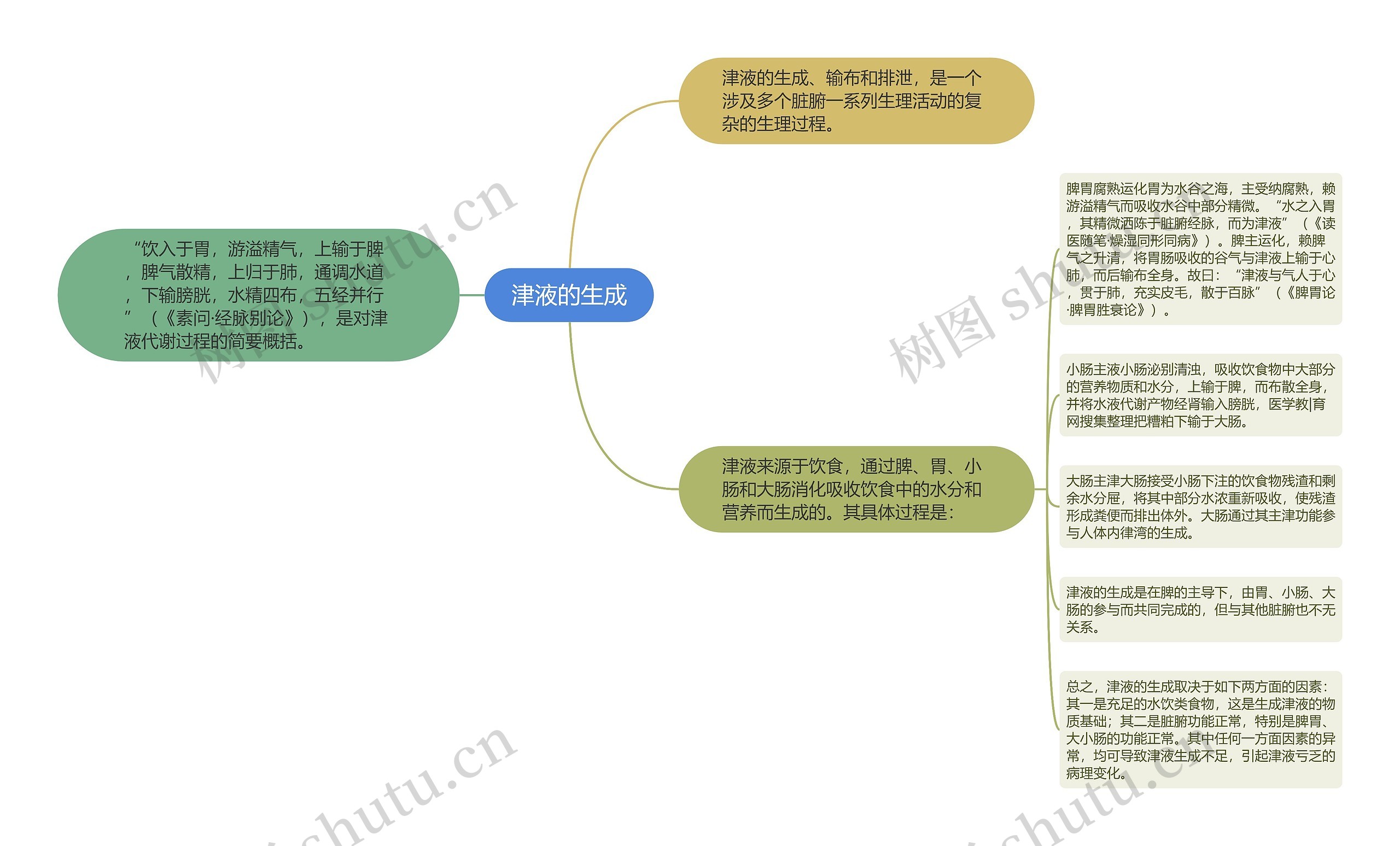 津液的生成思维导图