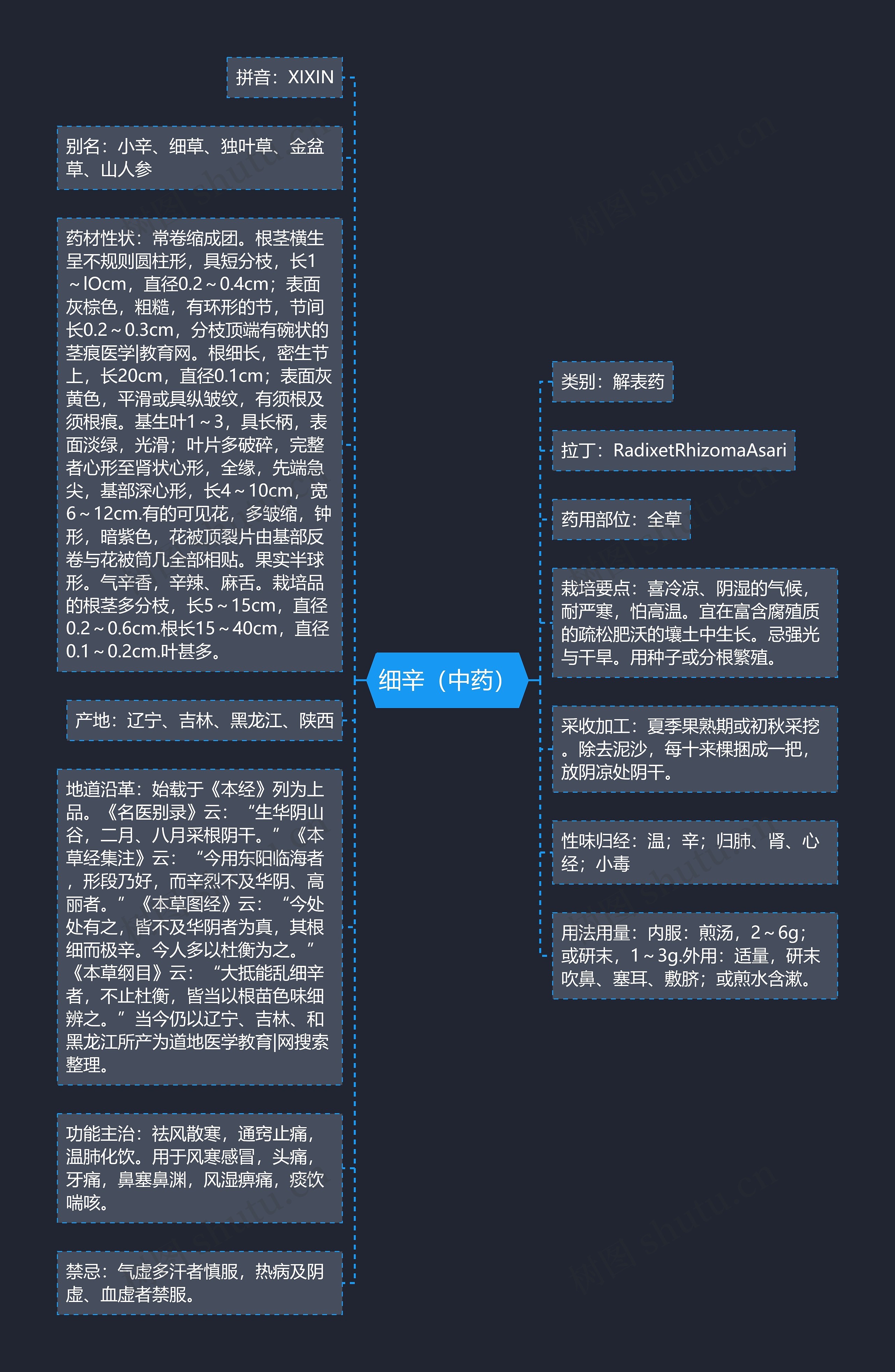 细辛（中药）思维导图