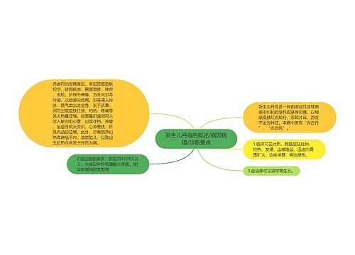 新生儿丹毒的概述/病因病理/诊断要点