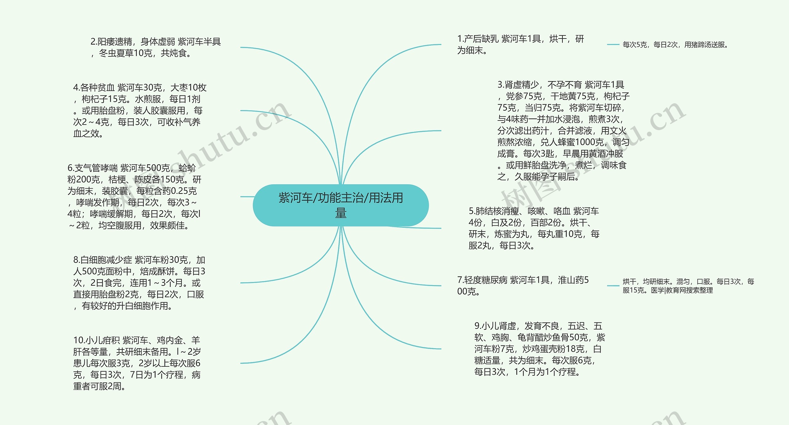 紫河车/功能主治/用法用量思维导图