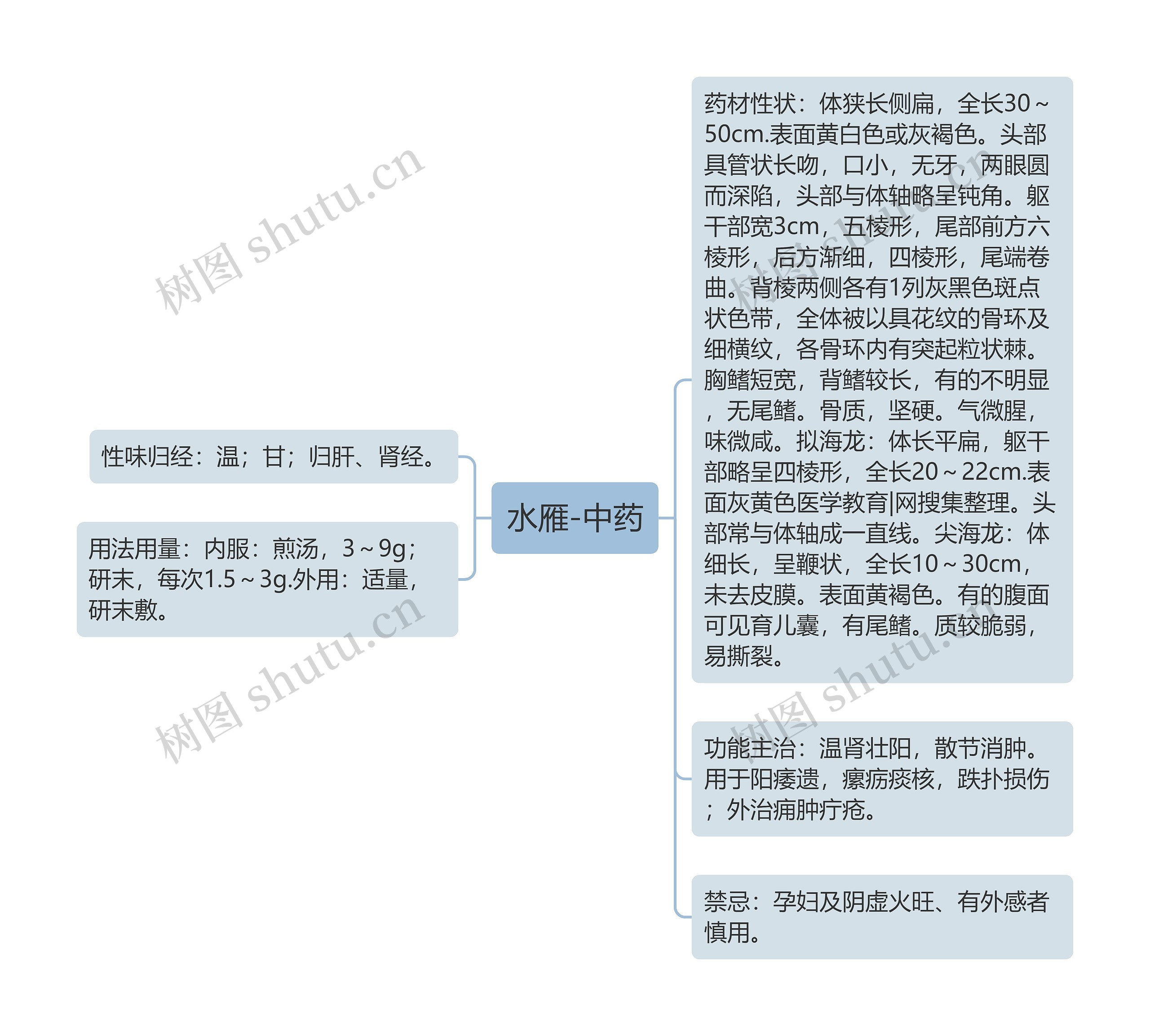 水雁-中药思维导图