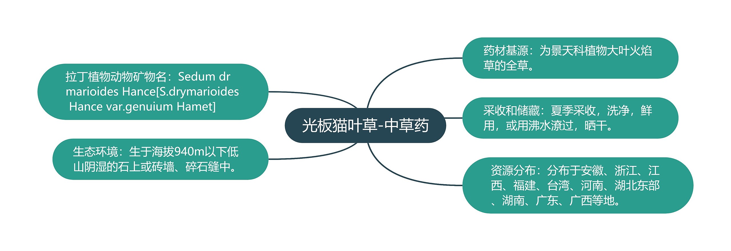 光板猫叶草-中草药思维导图