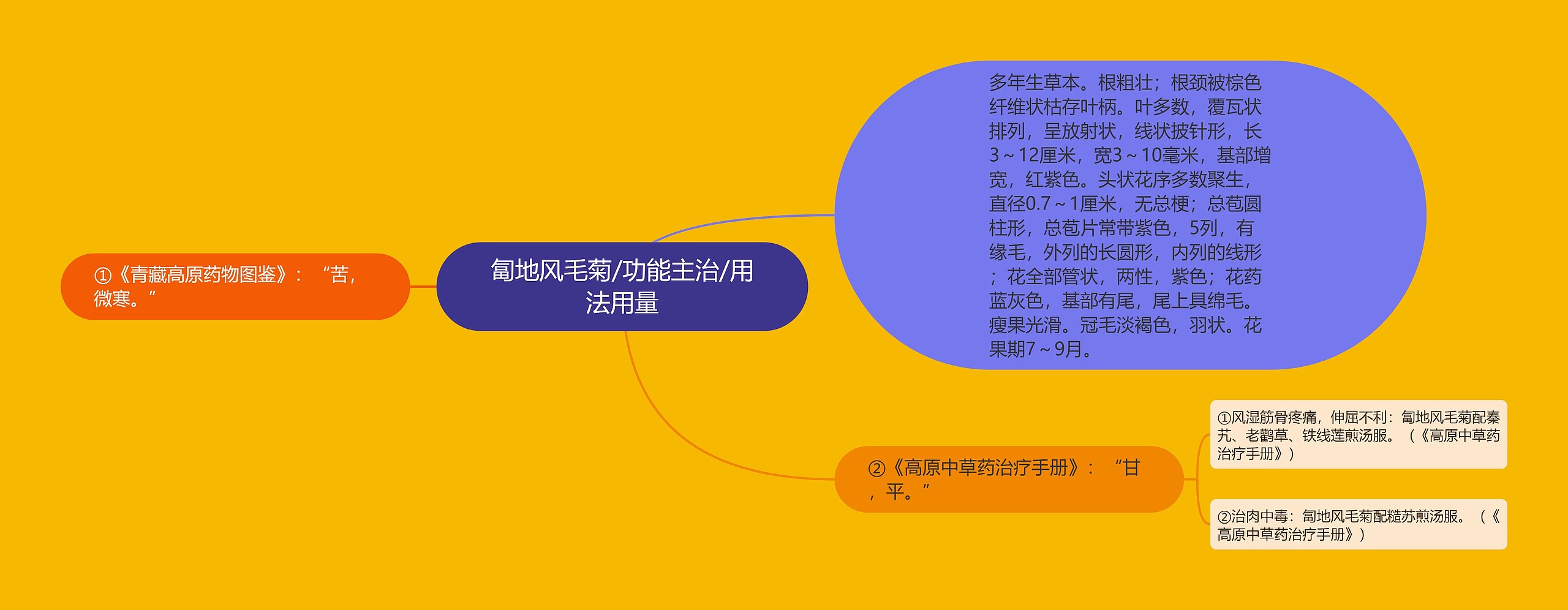 匐地风毛菊/功能主治/用法用量思维导图