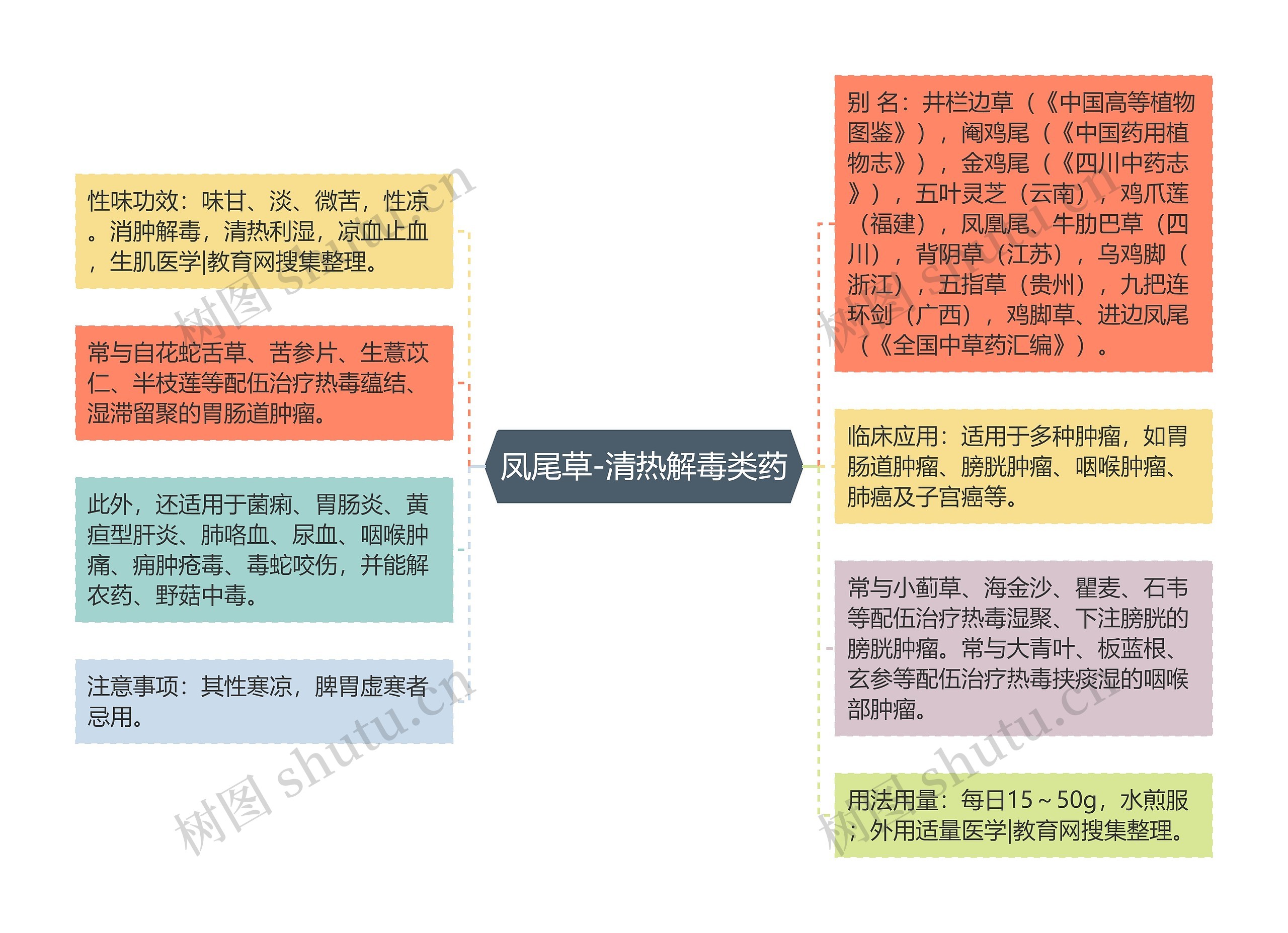 凤尾草-清热解毒类药思维导图