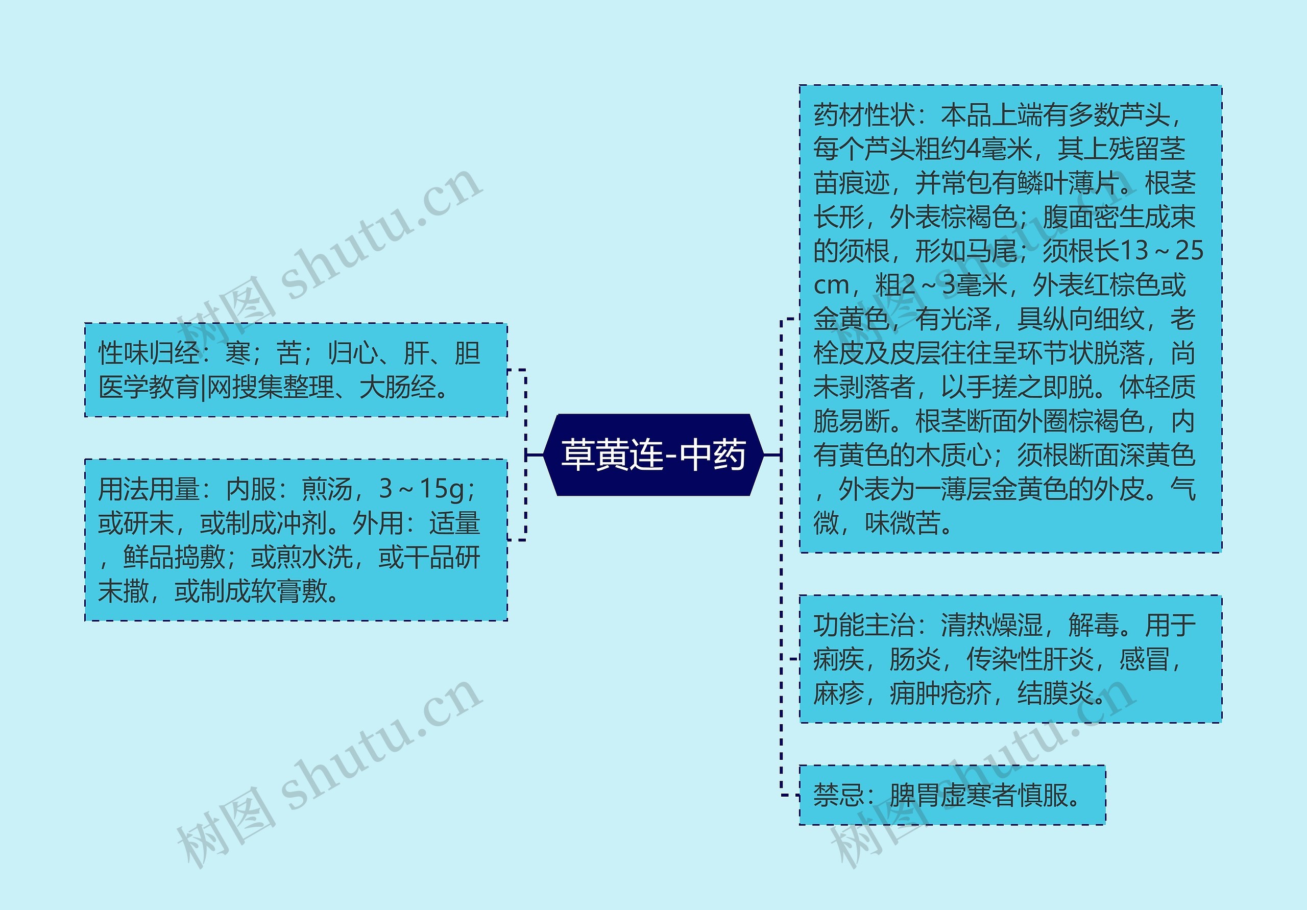 草黄连-中药思维导图