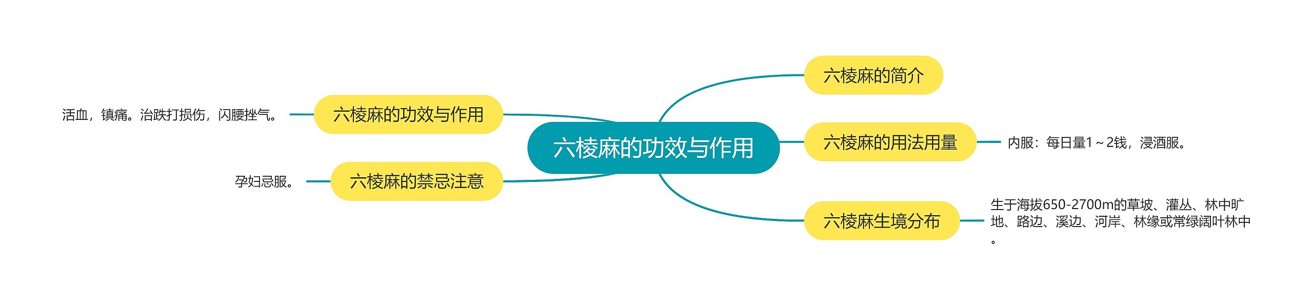 六棱麻的功效与作用 六棱麻的功效与作用