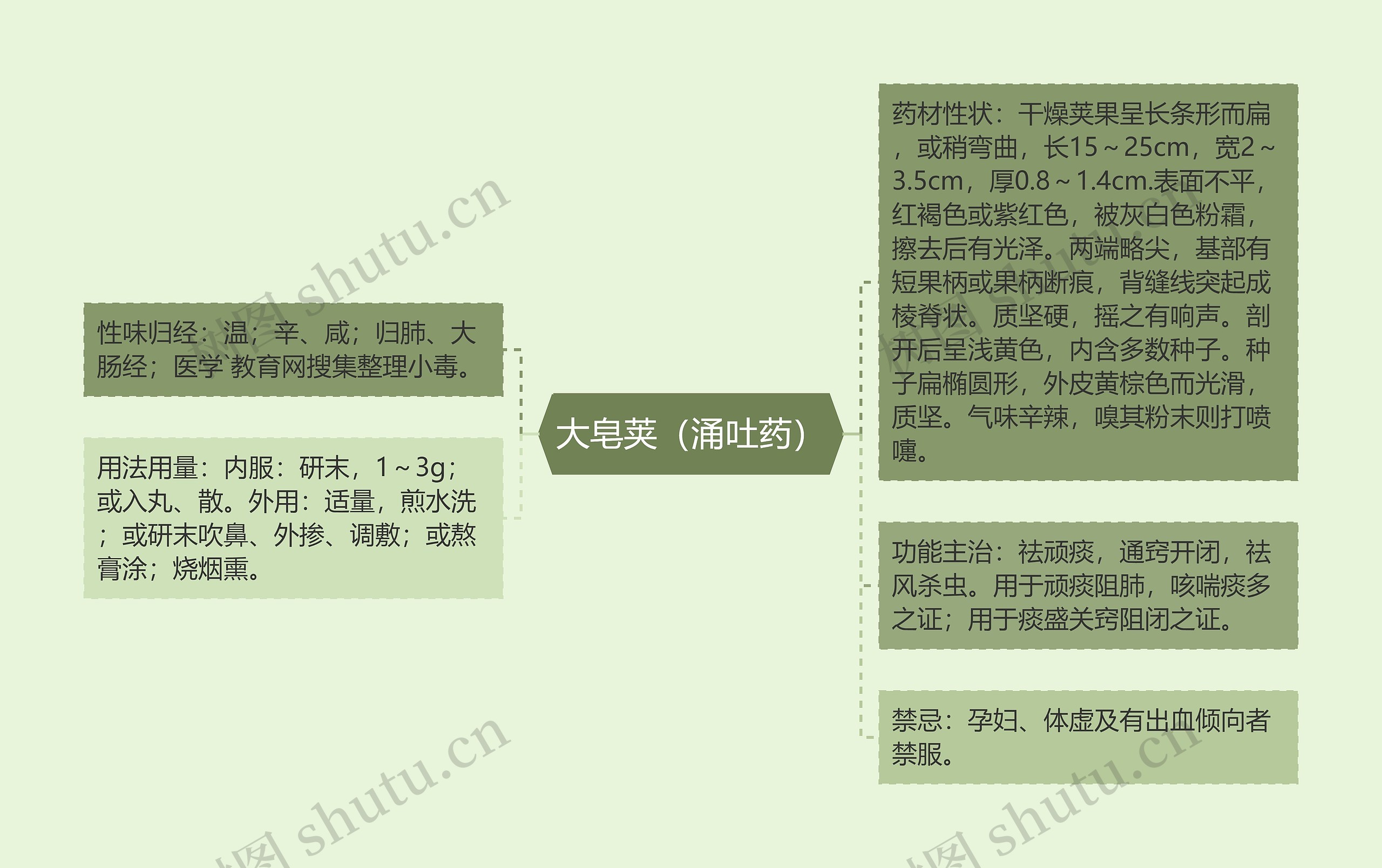 大皂荚（涌吐药）思维导图