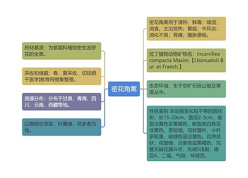 密花角蒿