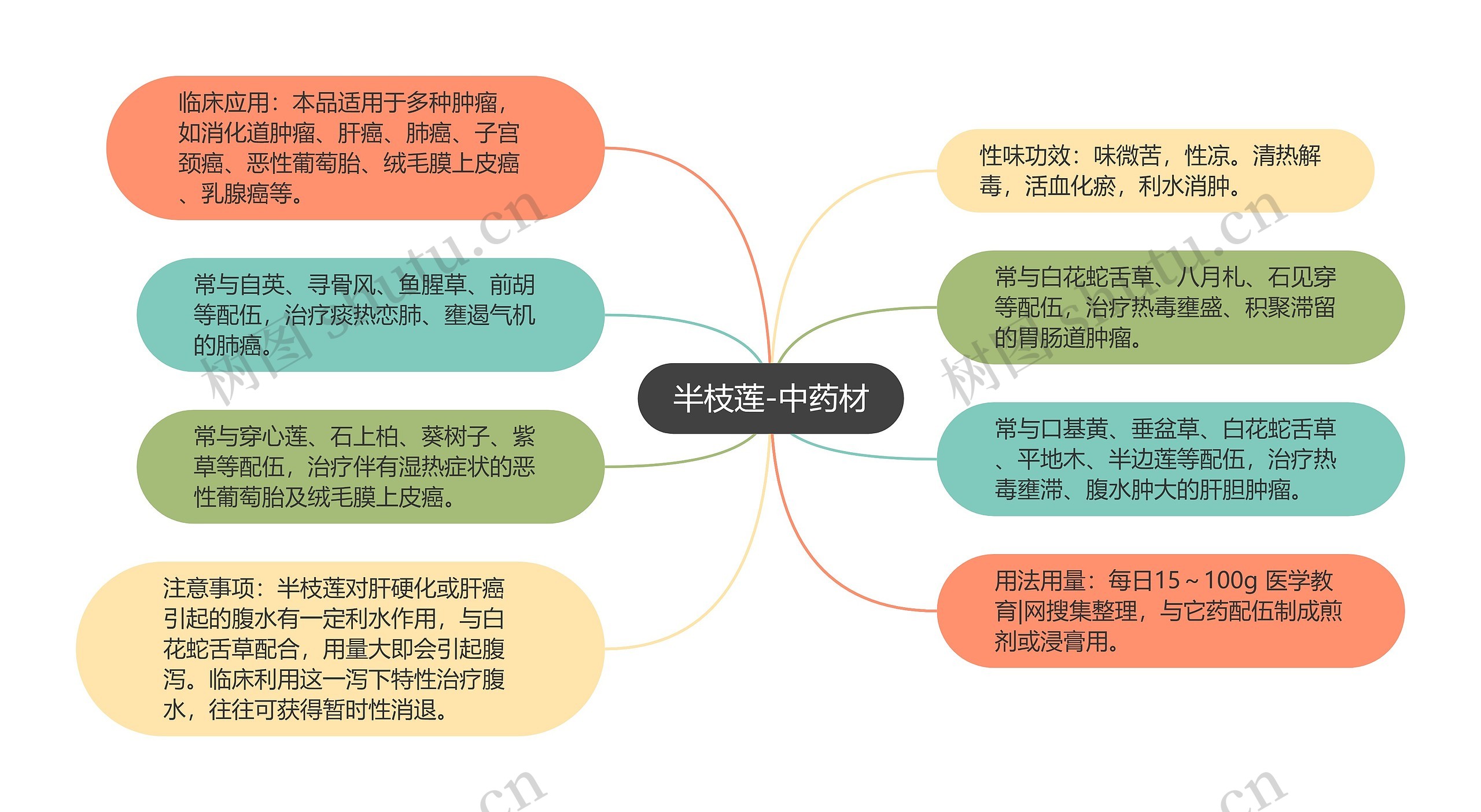 半枝莲-中药材思维导图