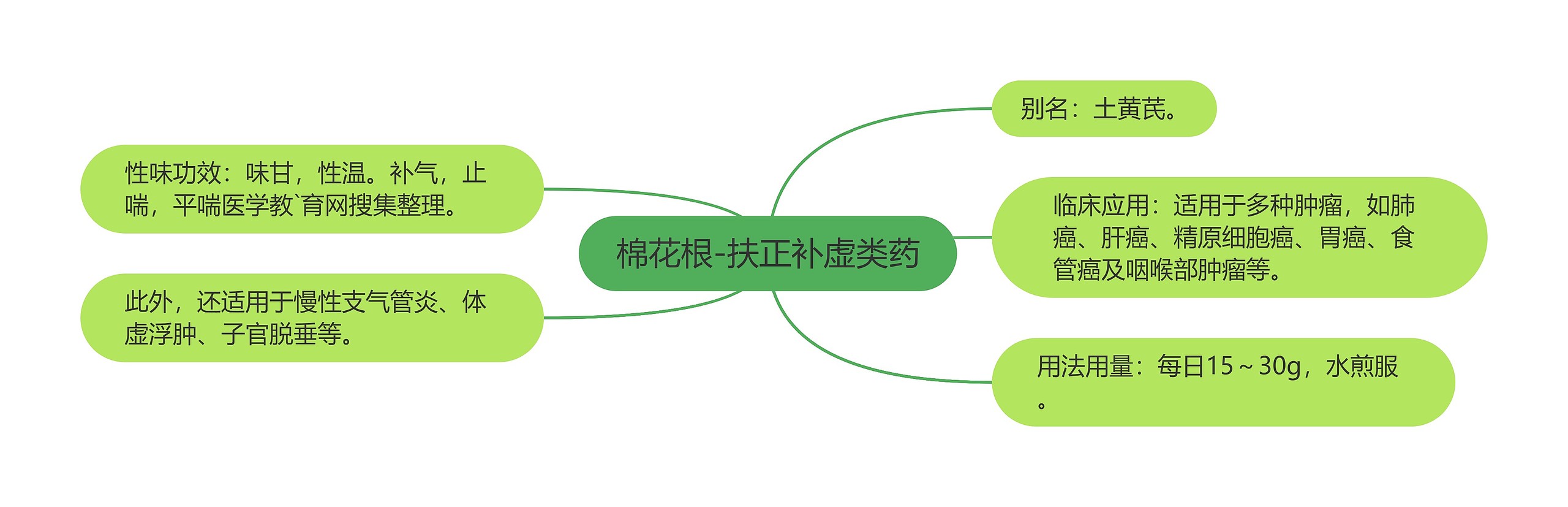 棉花根-扶正补虚类药思维导图