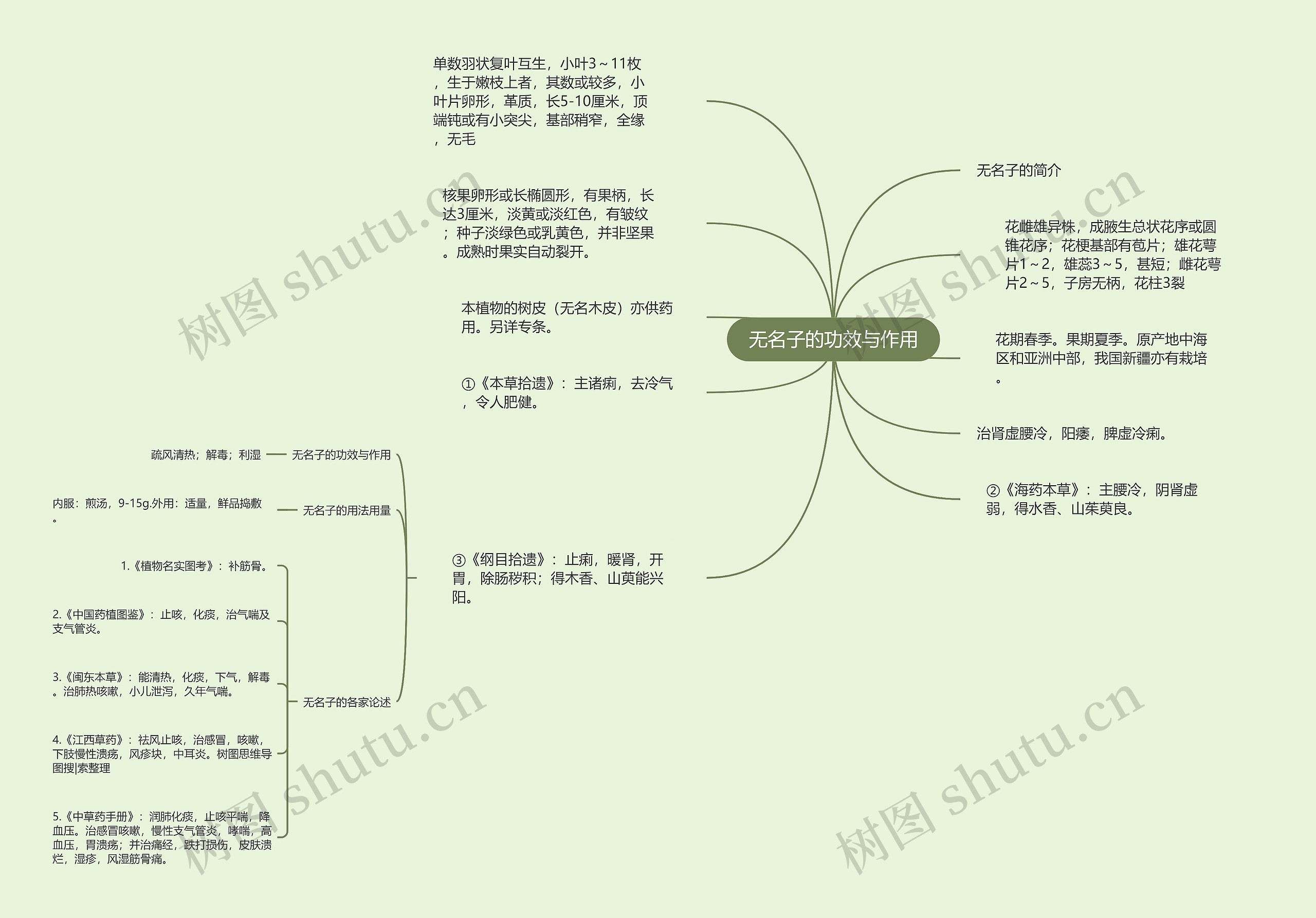 无名子的功效与作用思维导图