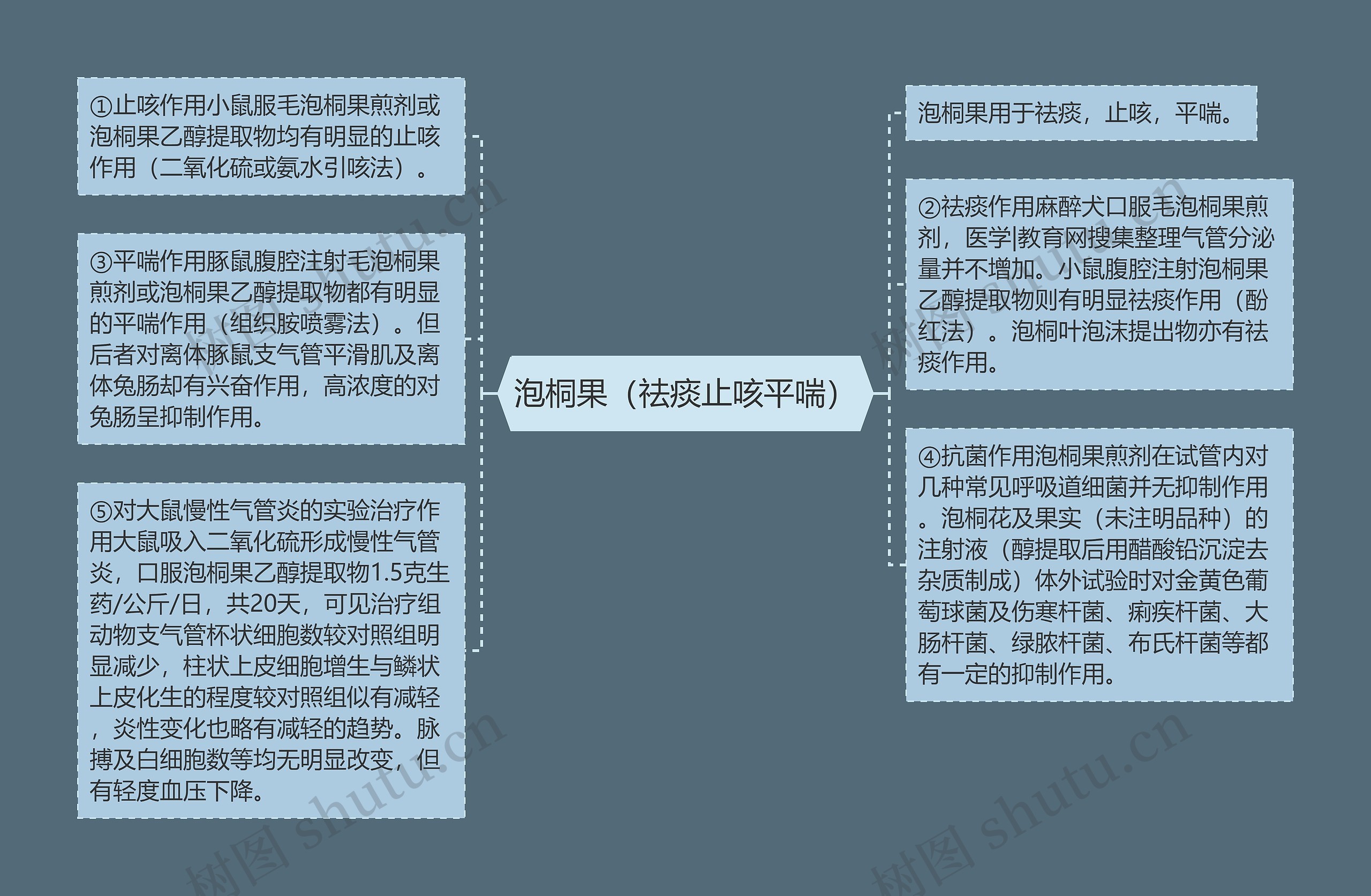 泡桐果(祛痰止咳平喘) 泡桐果(祛痰止咳平喘)