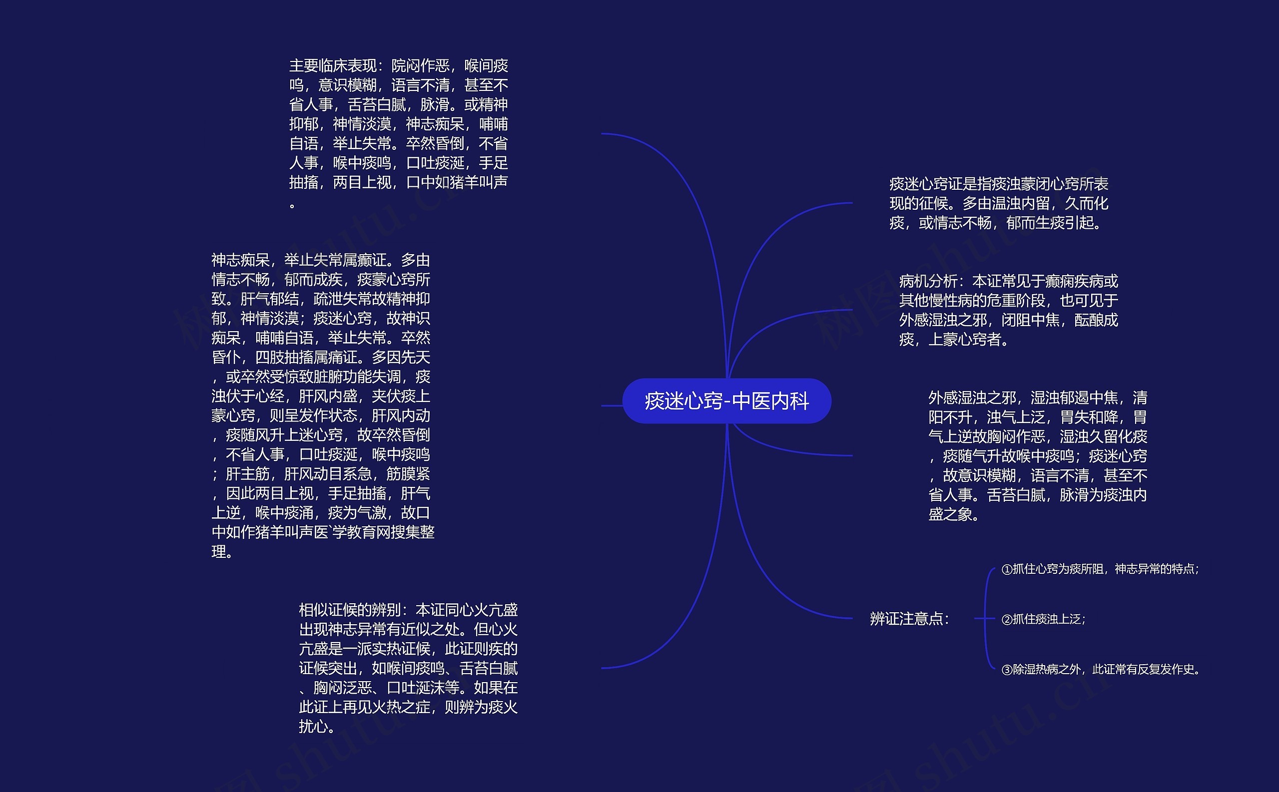 痰迷心窍-中医内科思维导图