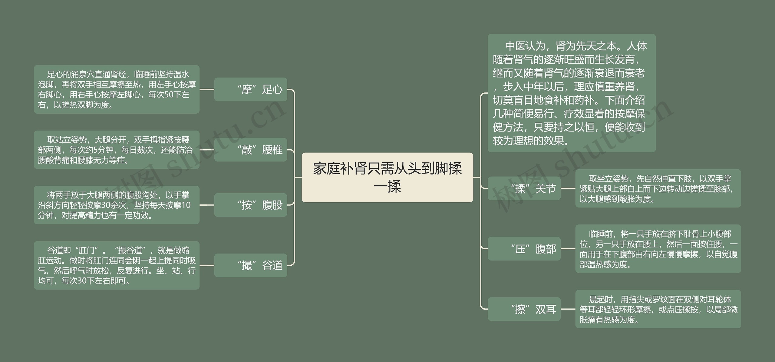 家庭补肾只需从头到脚揉一揉思维导图