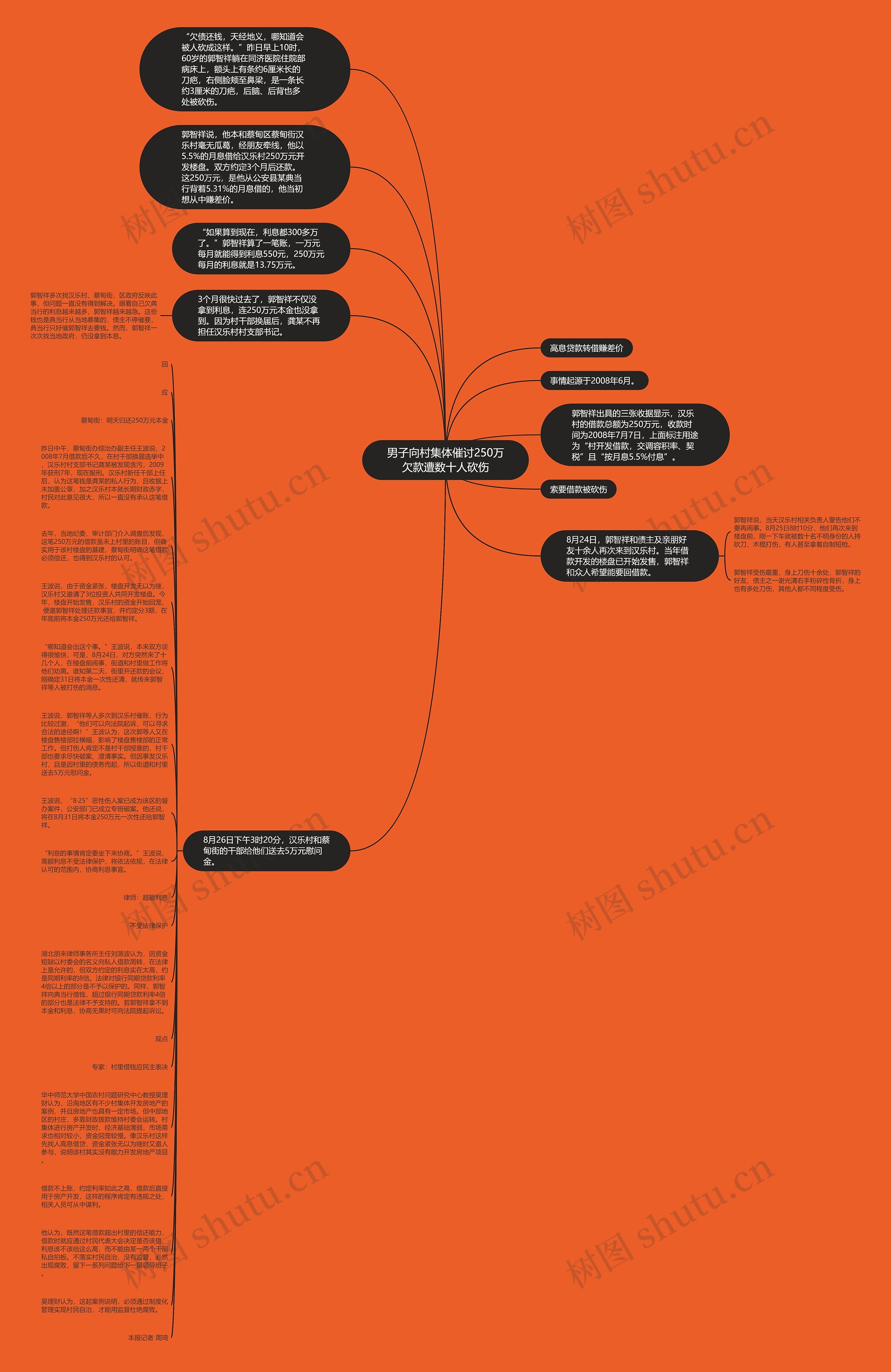 男子向村集体催讨250万欠款遭数十人砍伤思维导图