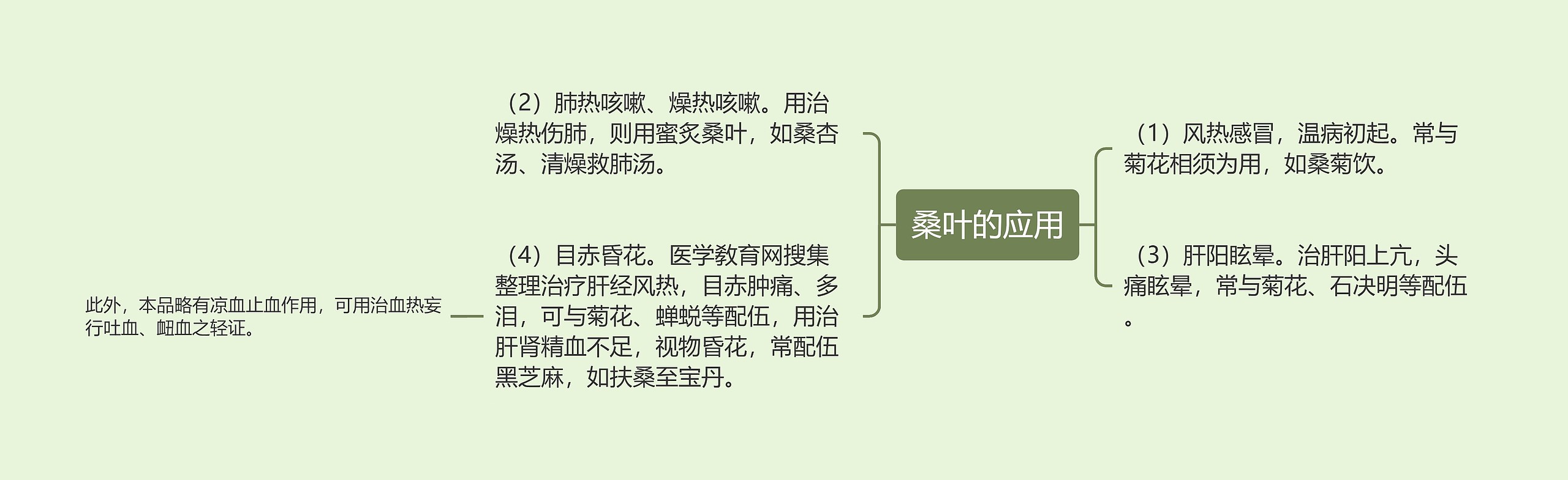 桑叶的应用思维导图