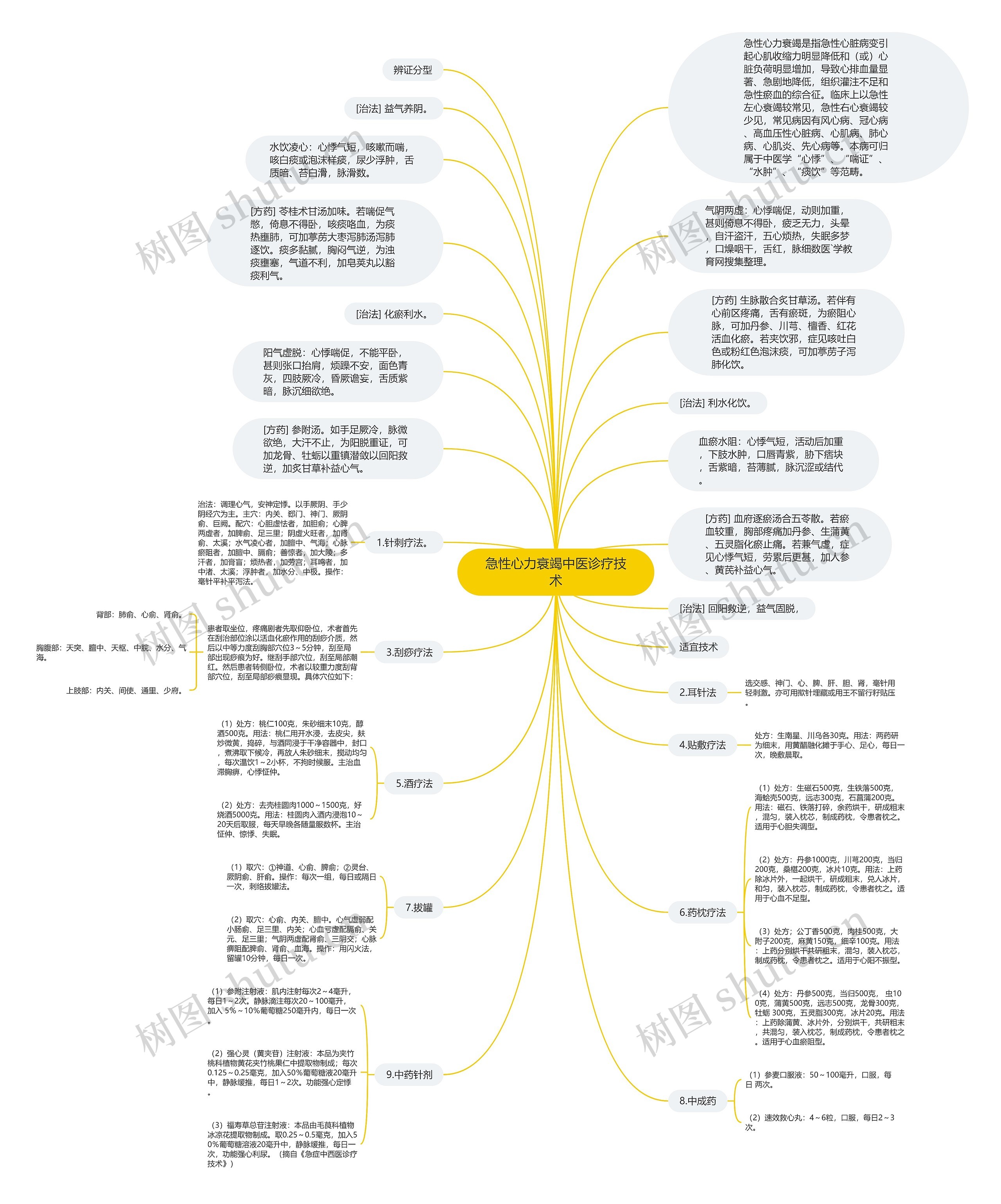 急性心力衰竭中医诊疗技术思维导图